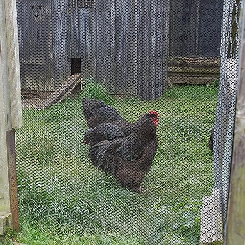 Miniatura 5 de Malla de alambre de plástico para pollo, alambre de esgrima hexagonal para jardinería, red de jardín para aves de corral, valla de alambre de pollo,