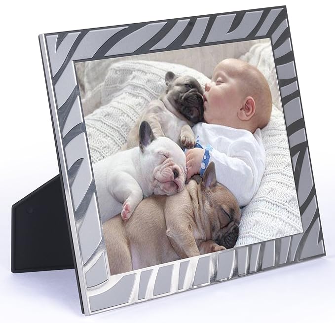 Displays2go Embossed Zebra Print Picture Frame, 8 by 10Inch, Set of 6