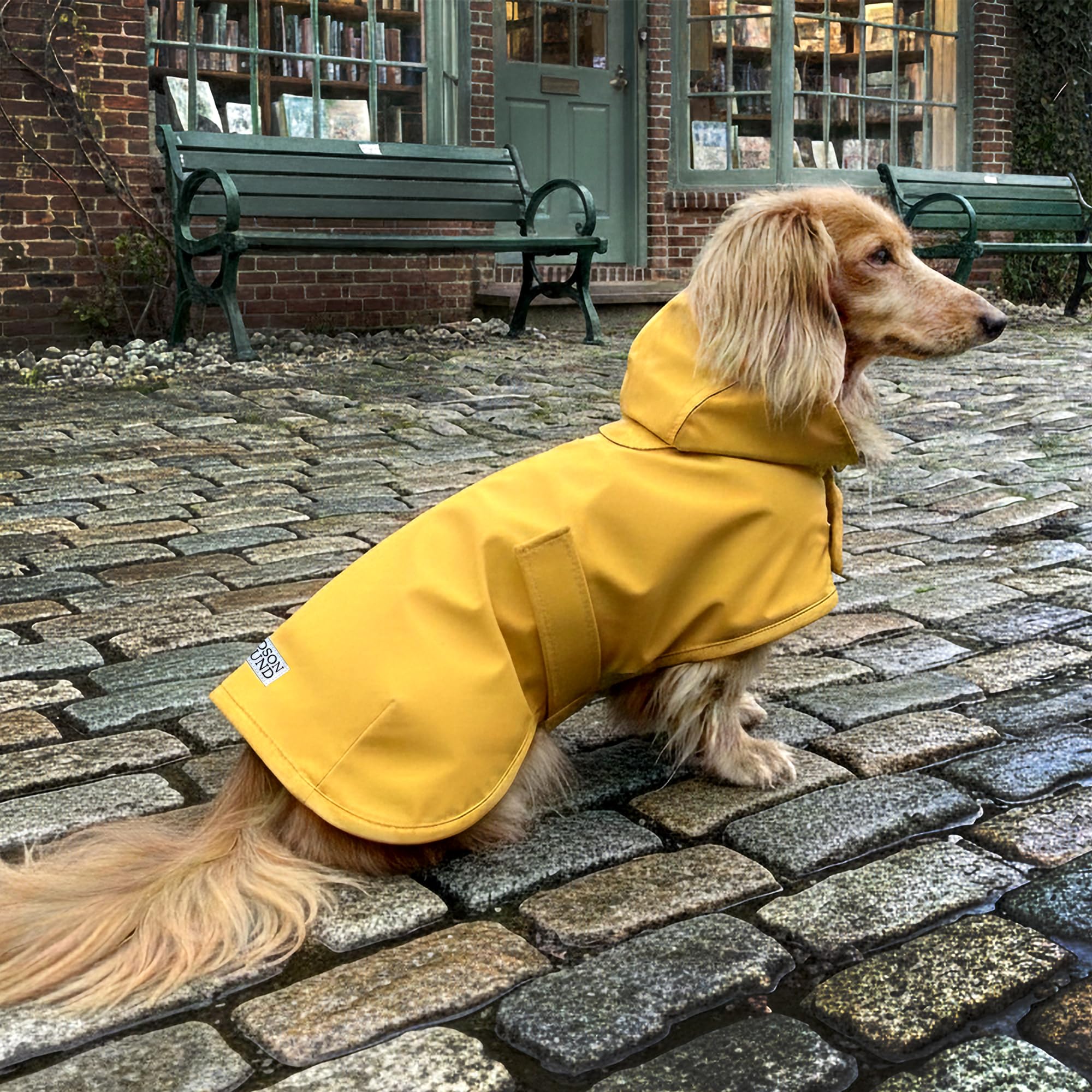 Dachshund - Chubasquero para perro salchicha, abrigo largo para perro, impermeable para perro Weiner, chaqueta impermeable Doxie (mediano)