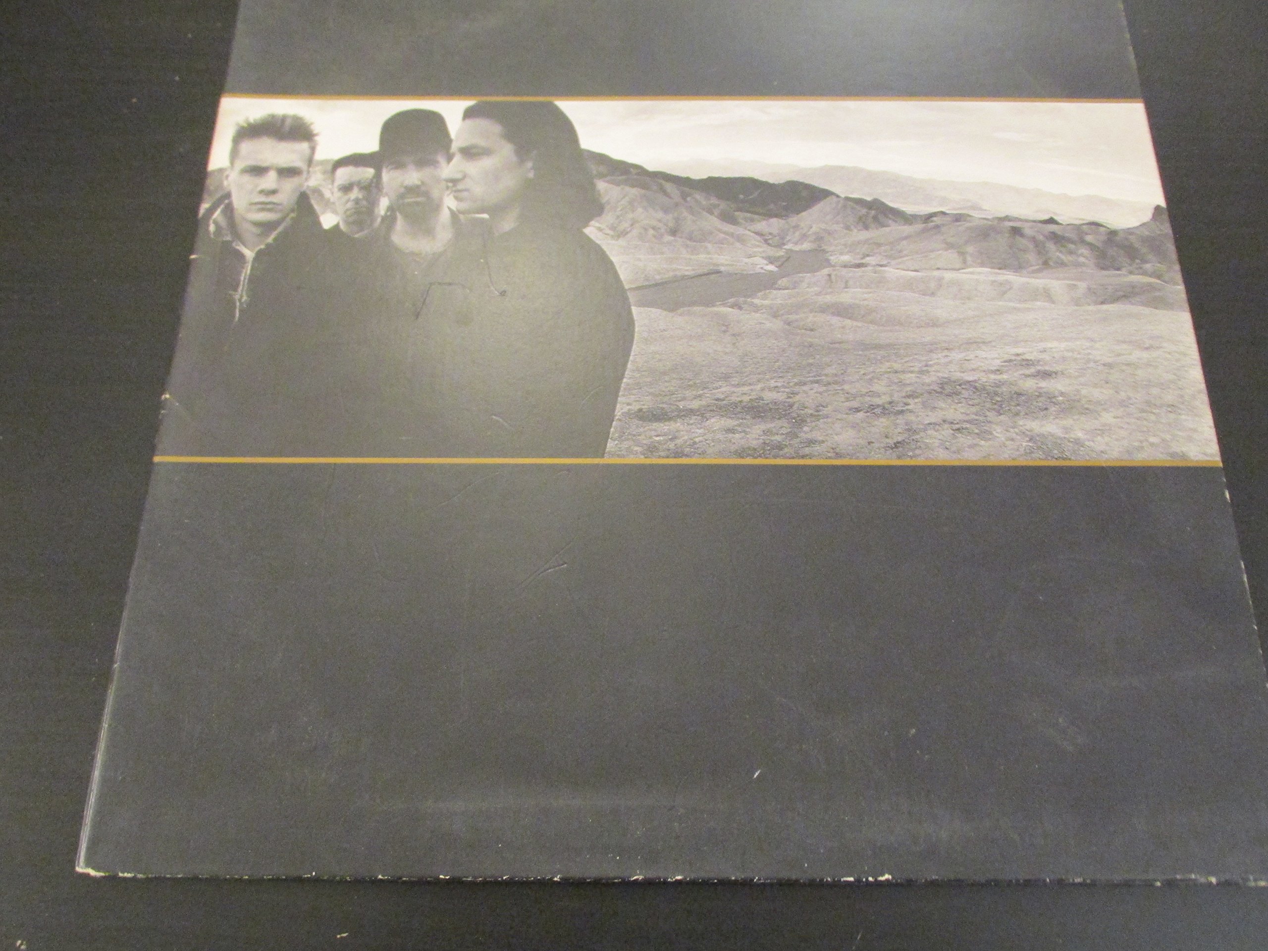 The Joshua Tree