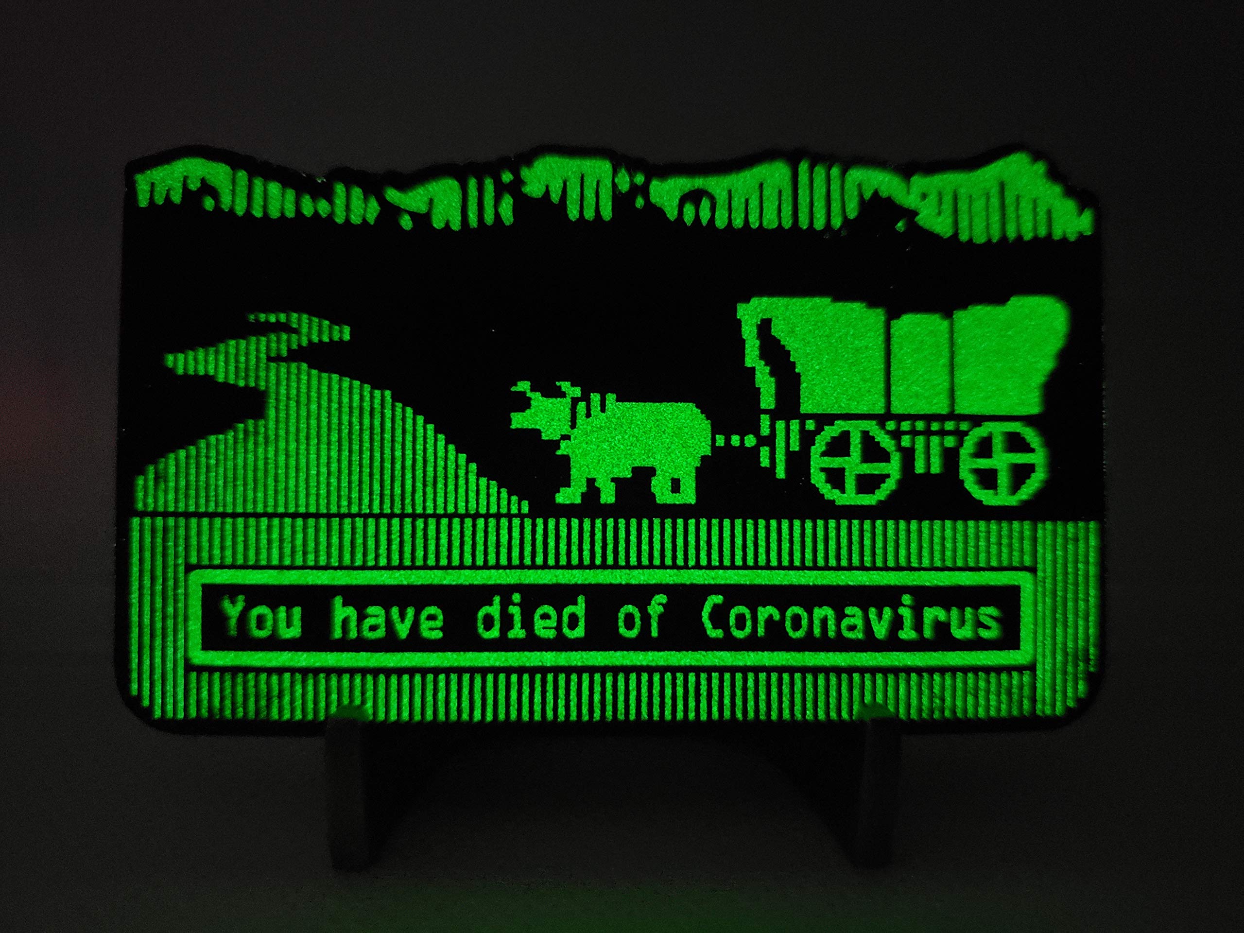 Secret Squirrel Challenge CoinsYou Have Died of Coronavirus Glowing