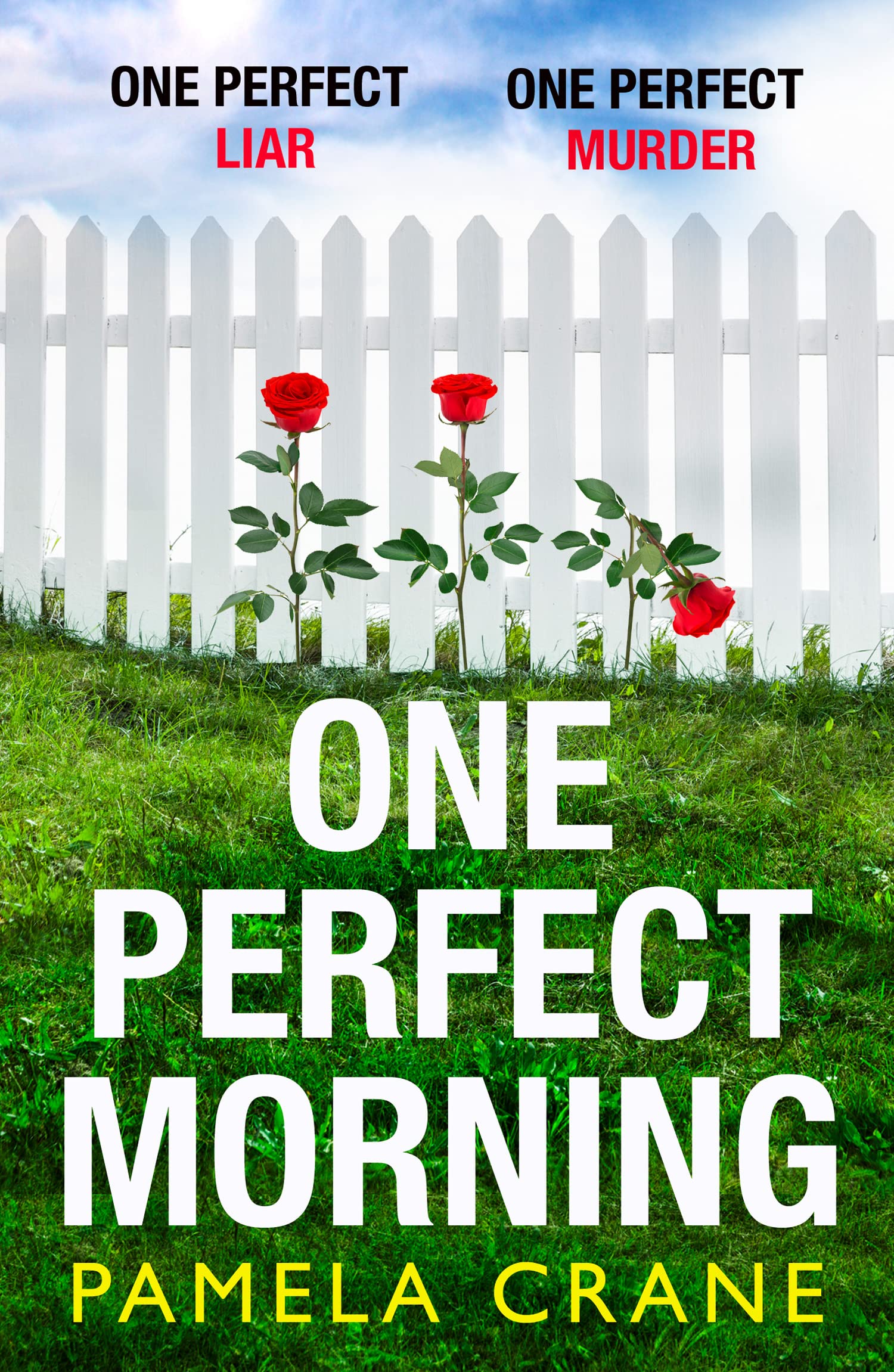 Pamela Crane: One Perfect Morning [2020] paperback