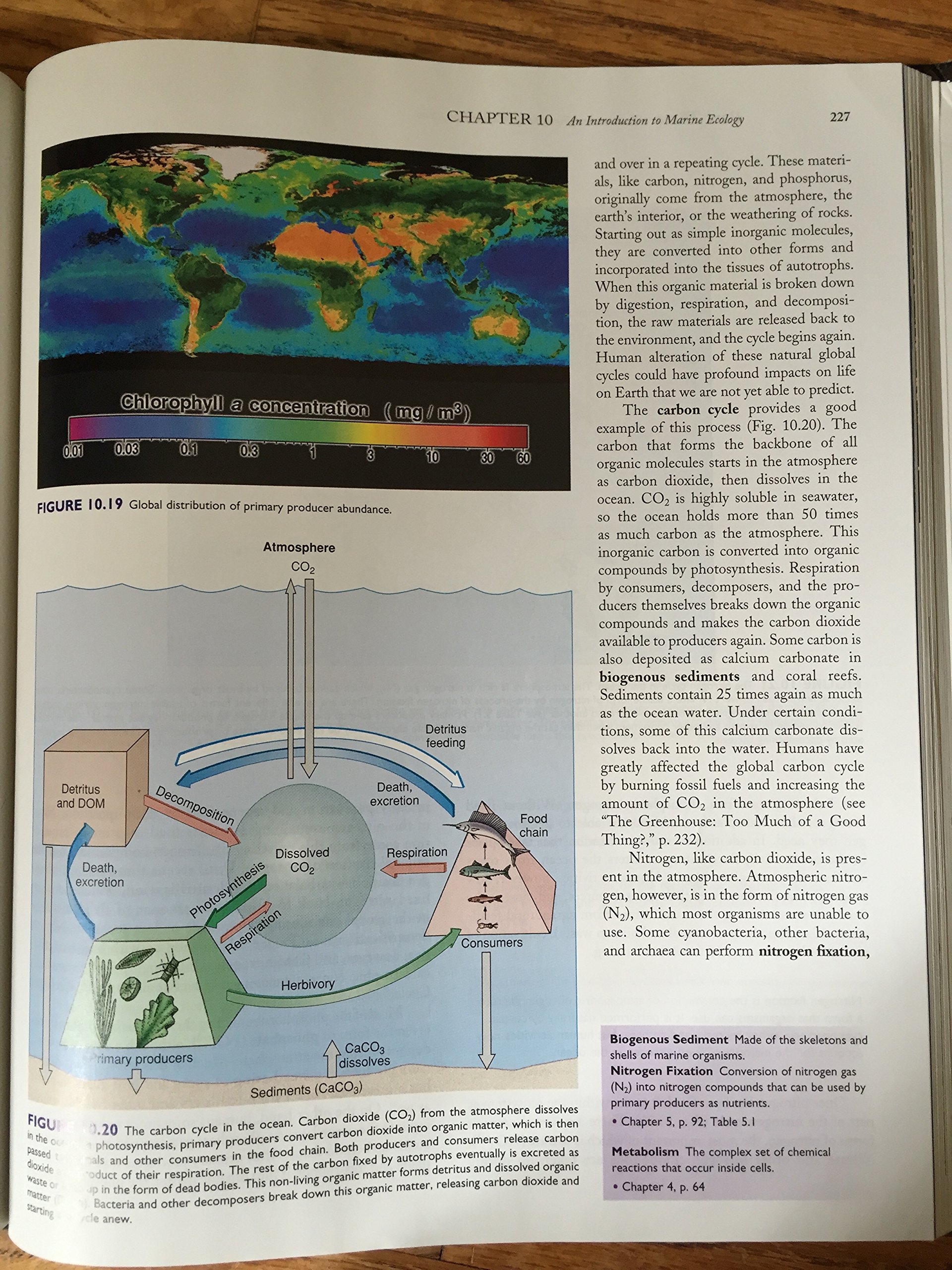 Marine Biology - Image 5