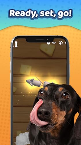 Laser Pointer－Games for Dogs – vue 6