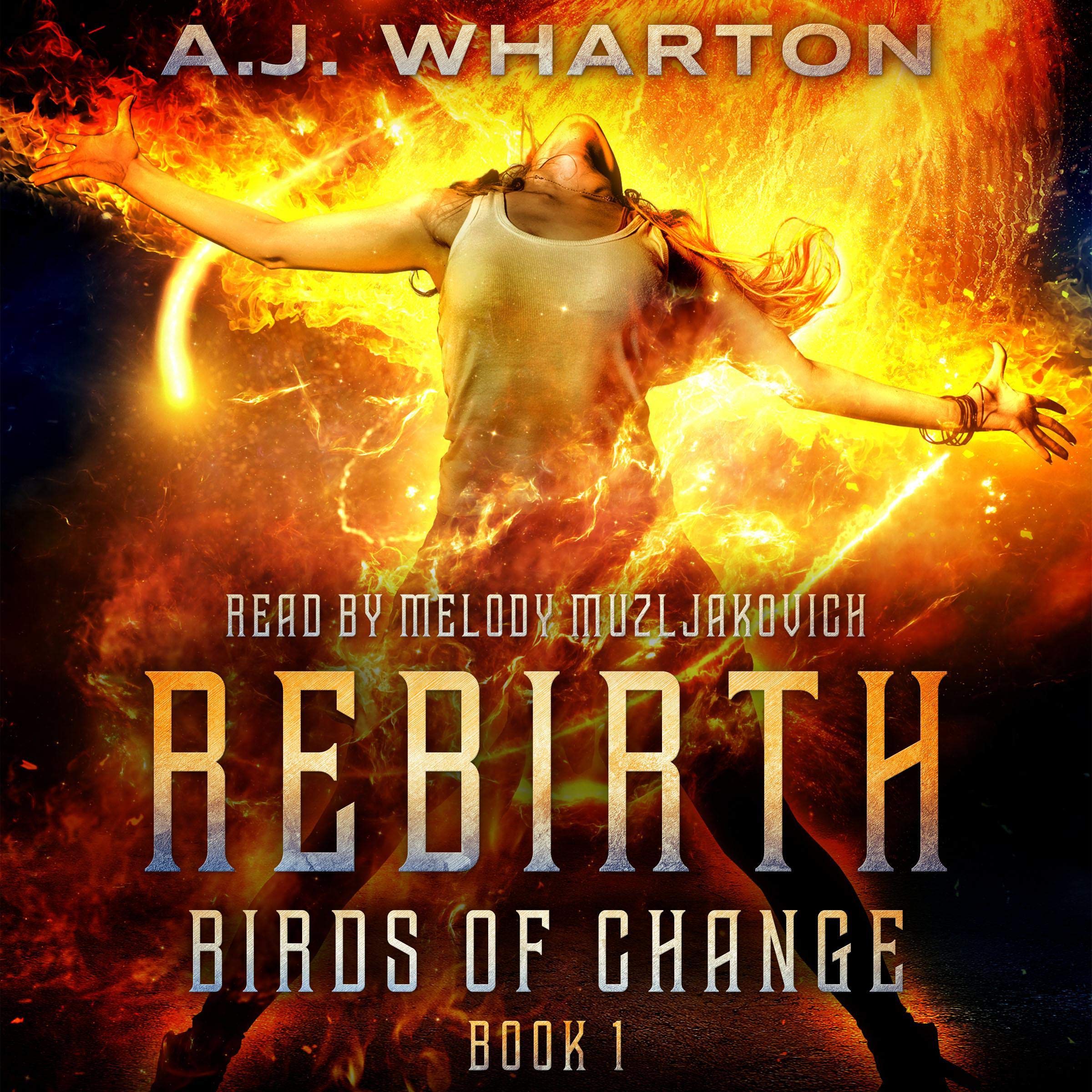 Cover art for Rebirth: Birds of Change, Volume 1