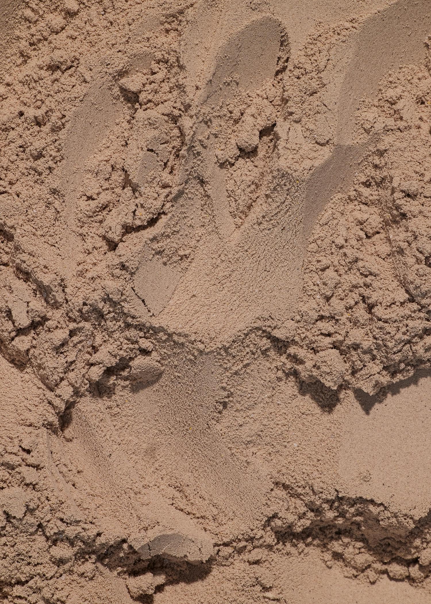 KoRo - Vegan Protein Powder Smooth Chocolate 300 g - Aus Reis-, Erbsen- und Sojaprotein - Cremig-süß im Geschmack - Proteinreich