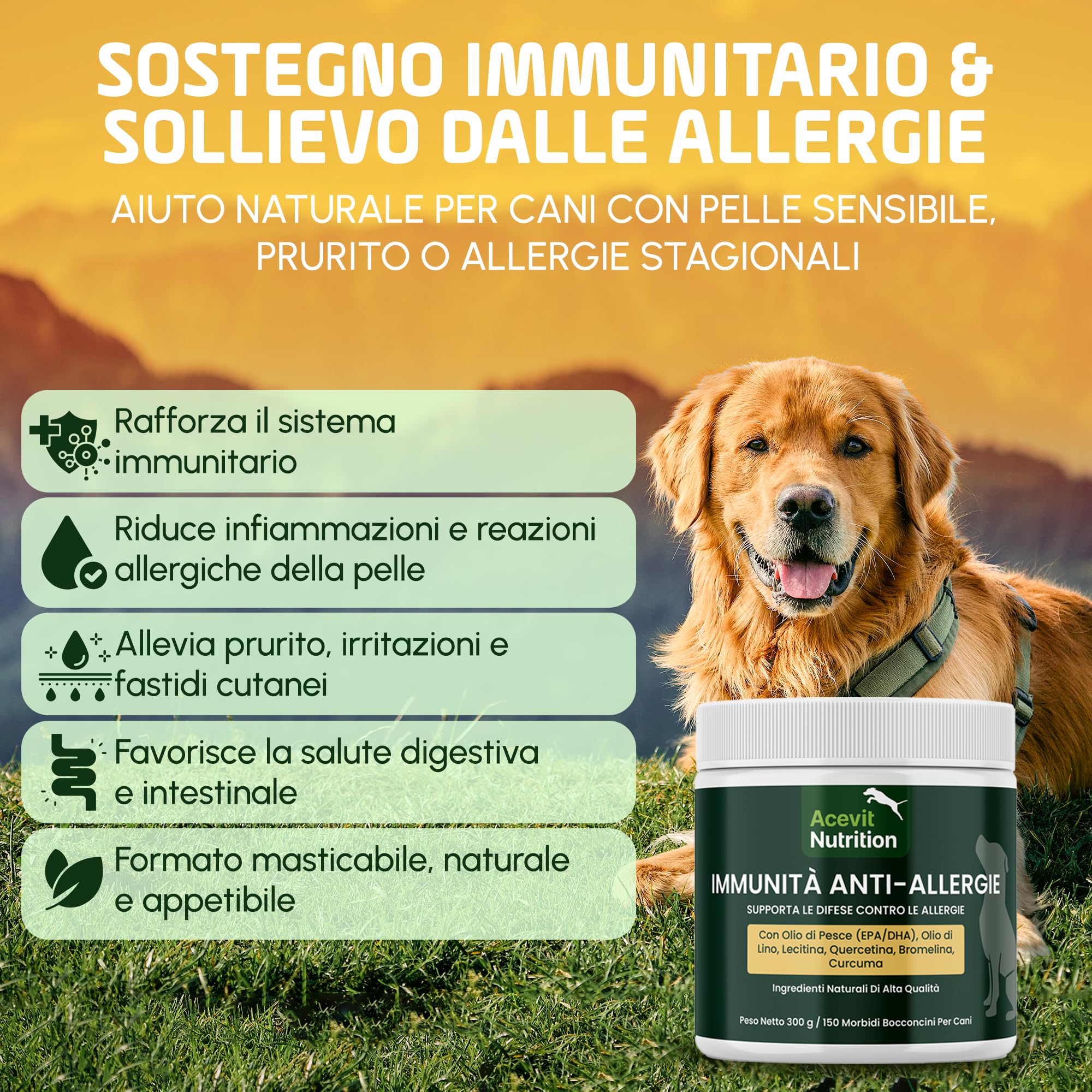 Prurito Cane & Pelle Sensibile, 150 Bocconcini, 100% Naturali – Integratore Anti-Allergie e Immunità – Olio di Pesce EPA/DHA, Quercetina, Curcuma e Bromelina – Supporto Cute e Pelo | Acevit Nutrition