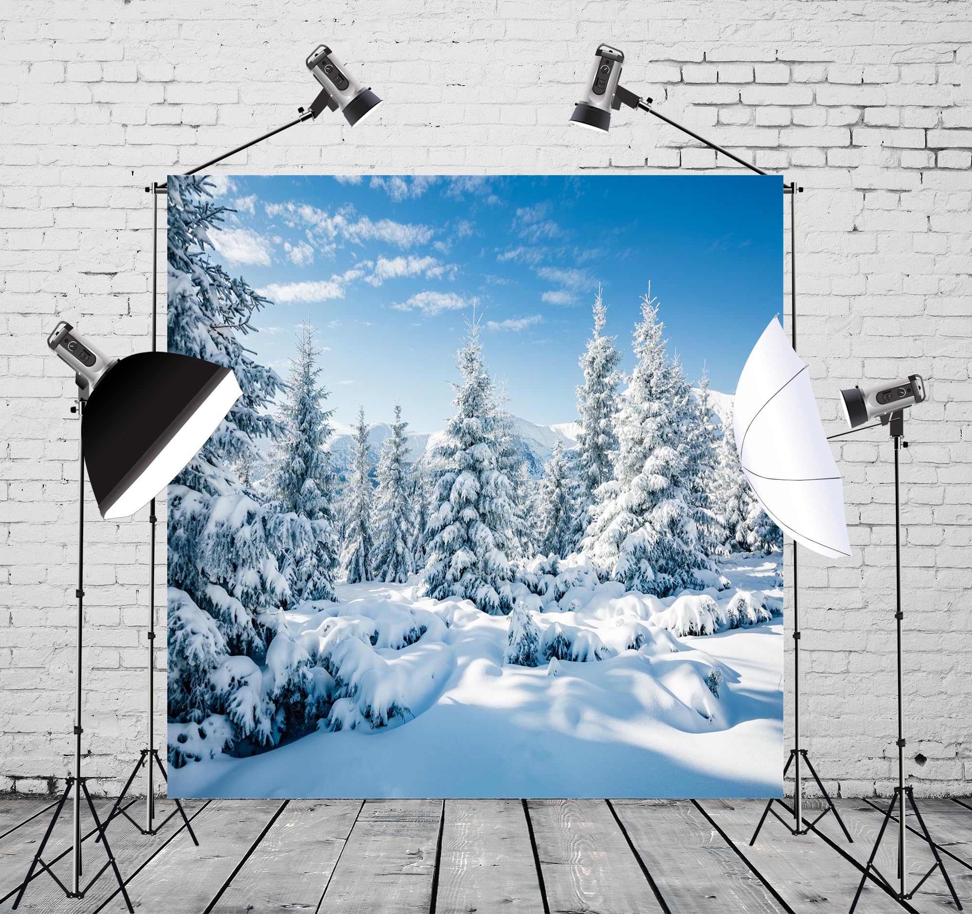 BELECO 2,5 x 2,5 m tkanina zima śnieg las tło białe choinki scena zimowa Alpy Fotografia tło na Boże Narodzenie Nowy Rok impreza dekoracje baner wakacje zdjęcie tło