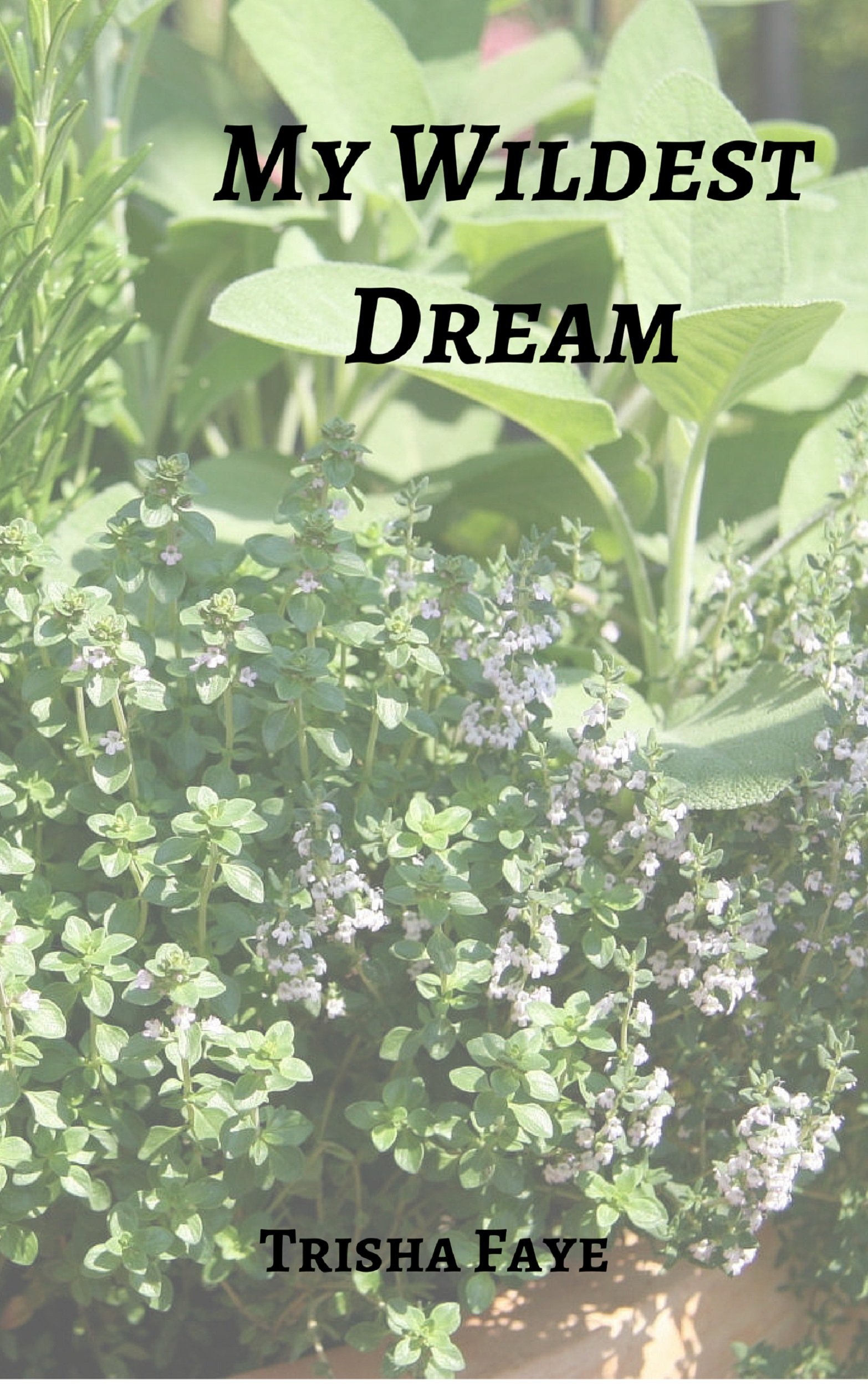 My Wildest Dream (Growing Wings Book 2)