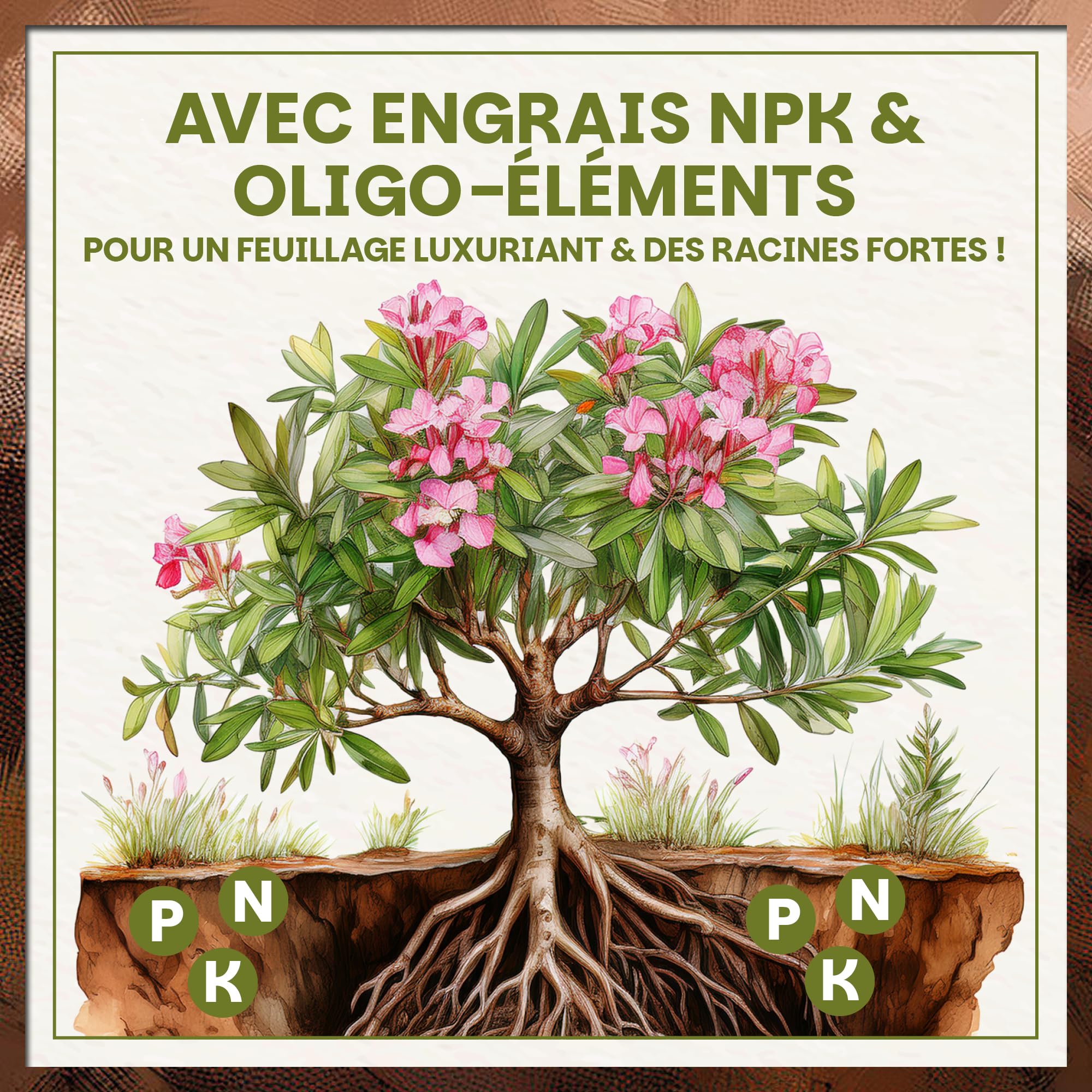 Green Home Terre pour Olivier & Laurier-Rose 36L – Terreau Premium pour Plantes Méditerranéennes | Engrais à Libération Lente | Perlite, Fibre de Coco & Humus | pour Pots, Bacs & Jardin, pH 5.9