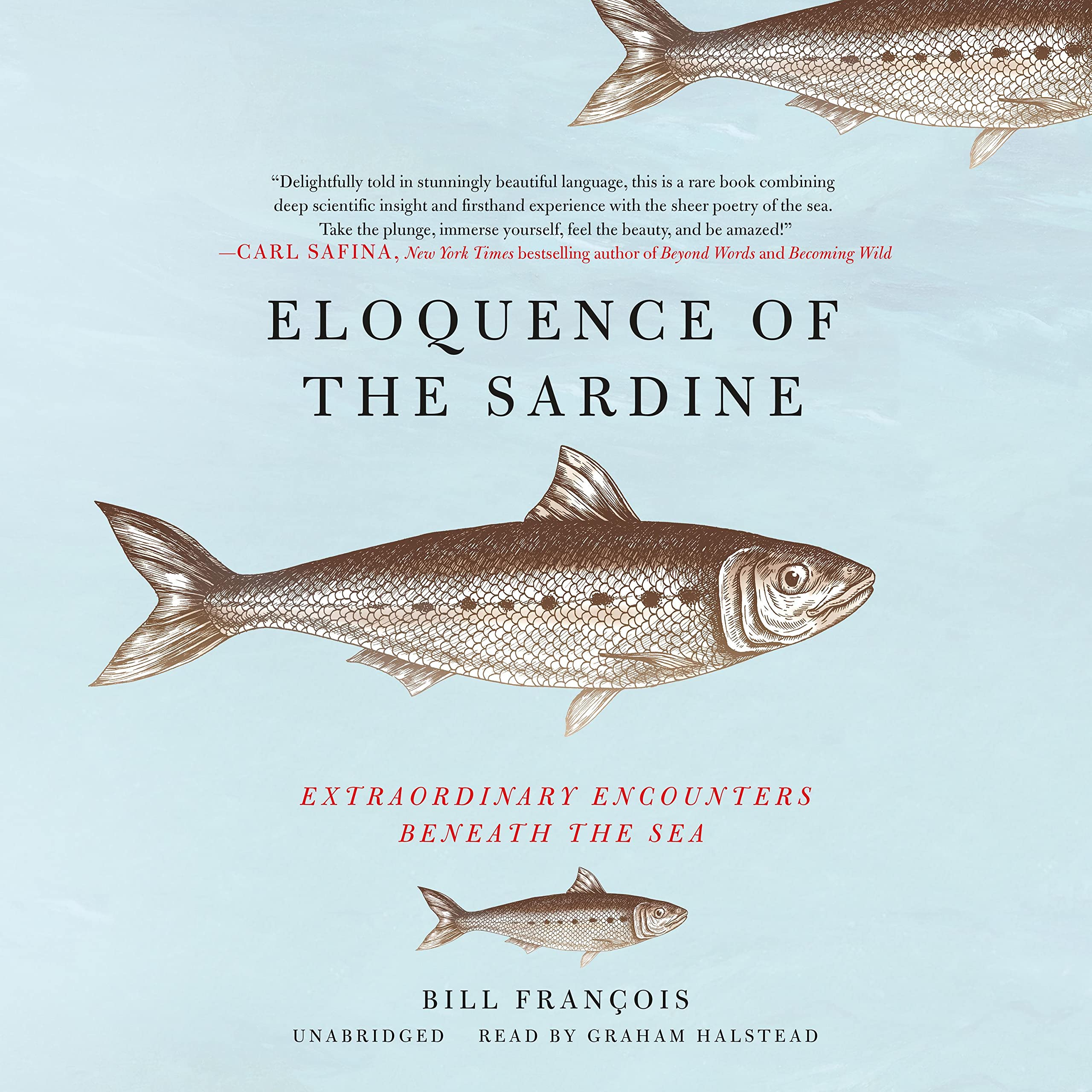 Cover art for Eloquence of the Sardine
