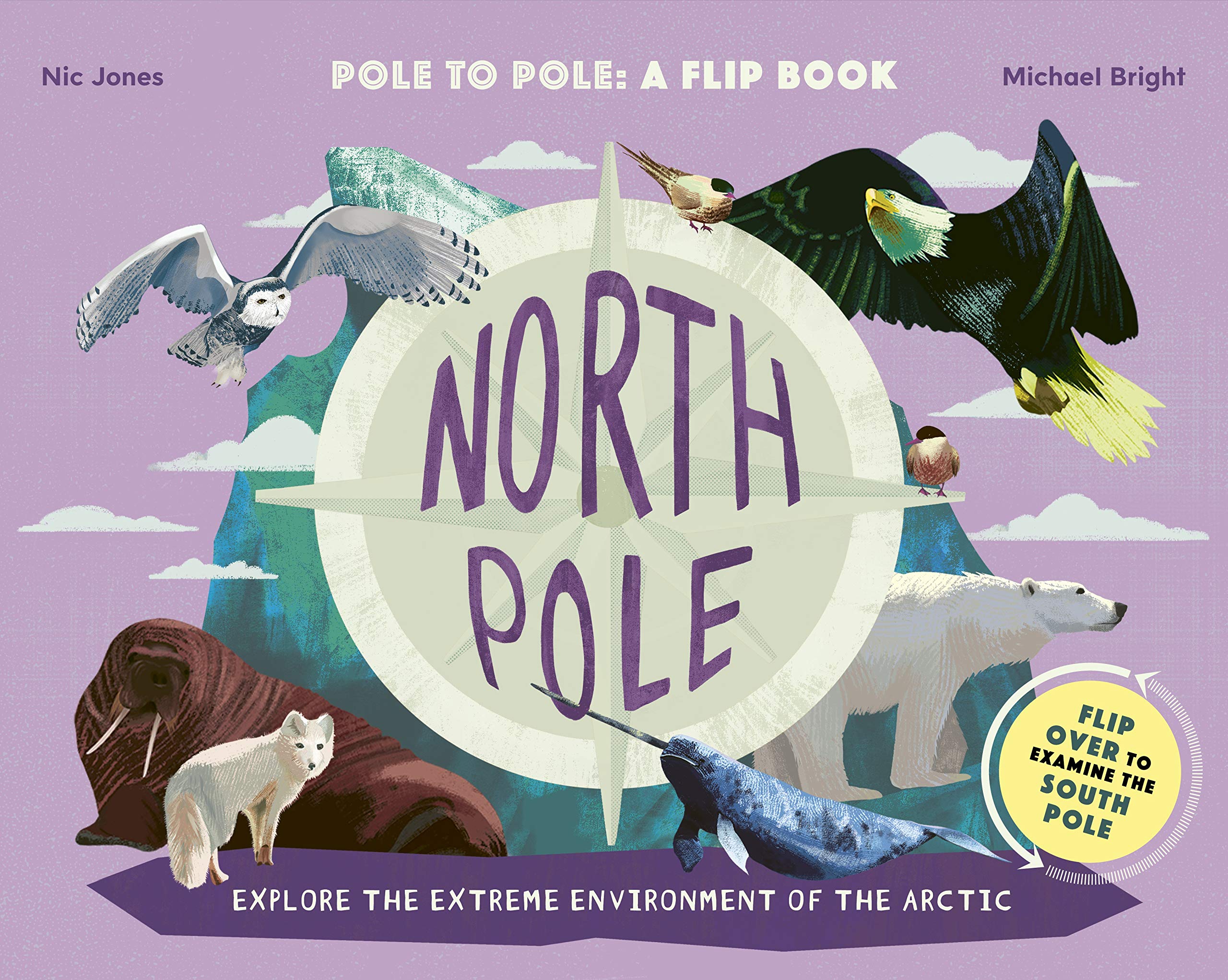 words & pictures North Pole / South Pole: From Pole to Pole: a Flip Book