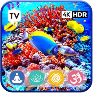 Stunning 4K Aquarium: Relaxing Coral Reef Fish and Sea Animals For Tablets And Fire TV - NO ADS