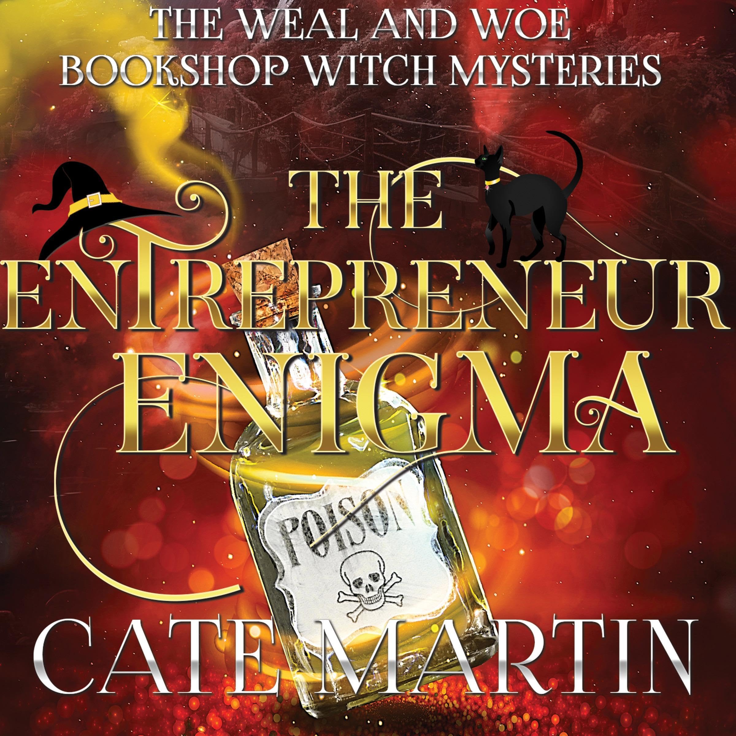 Cover art for The Entrepreneur Enigma