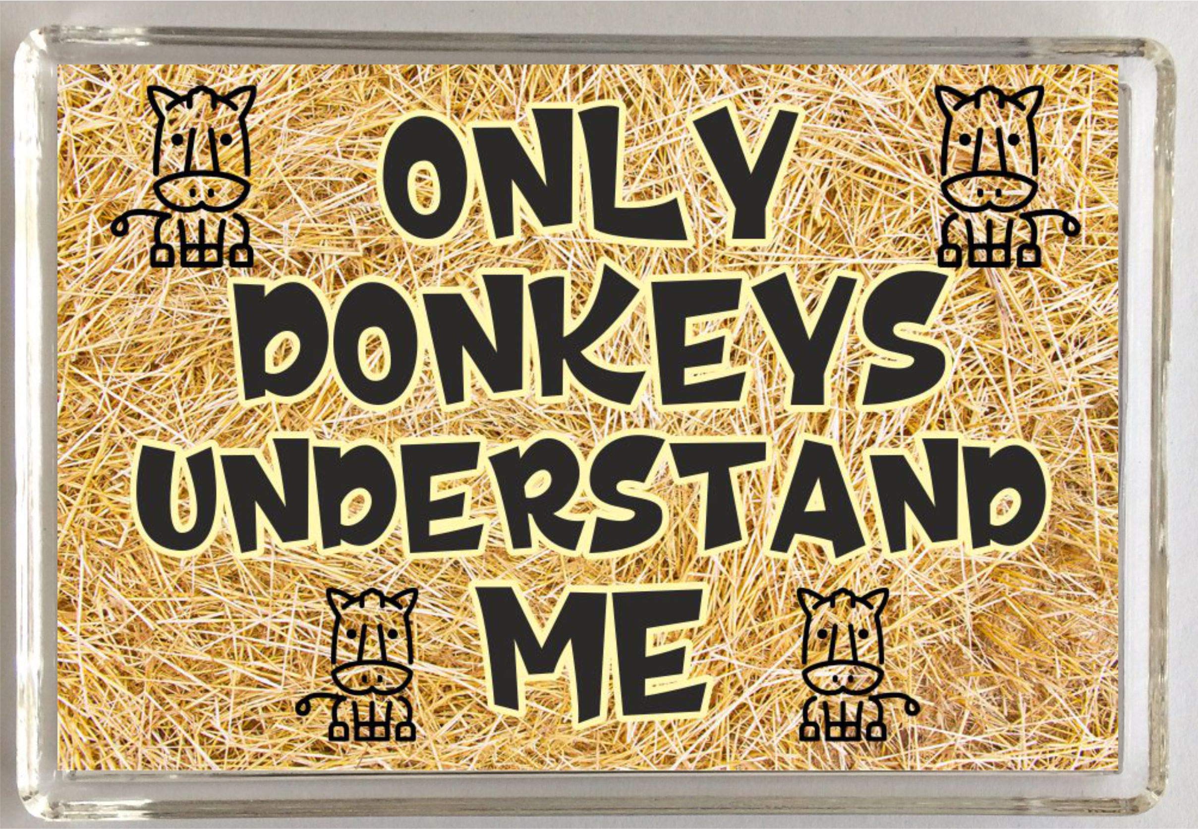 Donkey Lover Gift – Only Donkeys Understand Me – Novelty Fridge Magnet – Fun Donkey Present