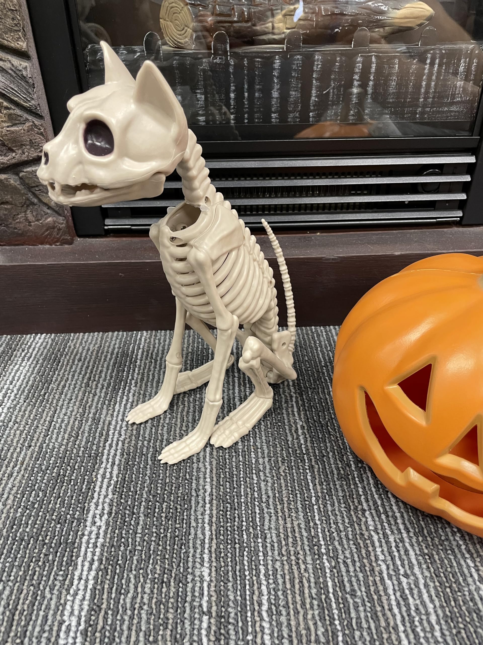 Amazon.co.jp: Crazy Bonez 座っているスケルトンキャット : おもちゃ
