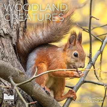 Woodland Creatures Wall Calendar | Animal Calendar 18 Month | 12" x 24" Open | Giftable Nature Calendar 2026 | Thick & Sturdy Paper for Organizing & Planning | Pacific Waters Press Woodland Creatures