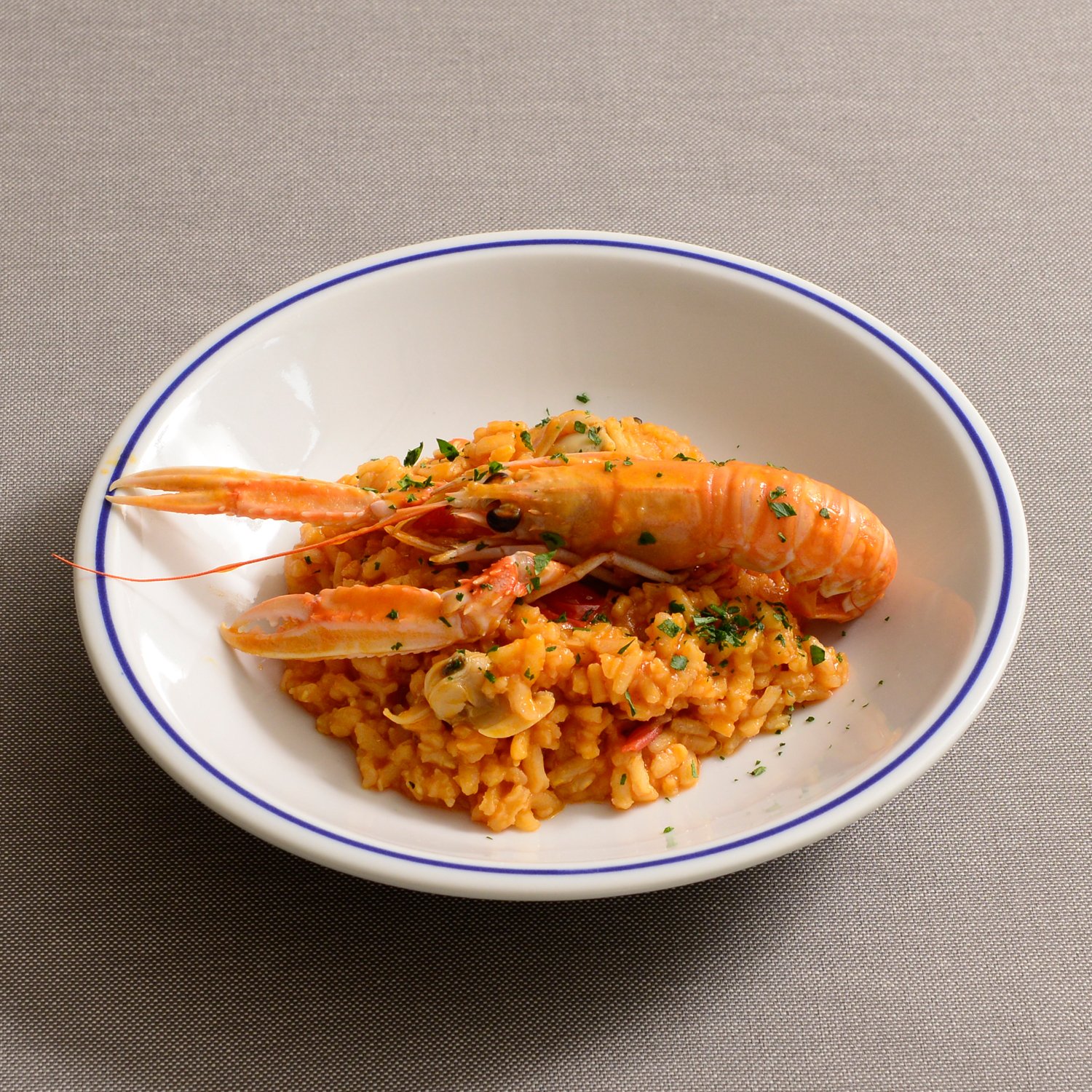 サタルニア　パスタボウル　26cm 6枚セット パスタボウル | シビリア | サタルニア 通販 - FULLangle 公式
