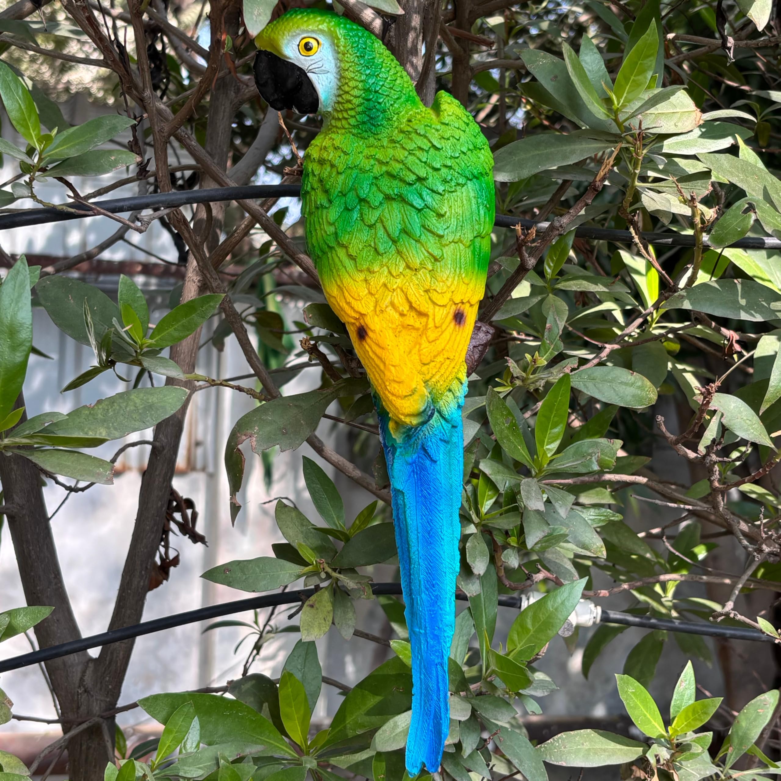 Wonderland Hand-Painted Resin Tropical Macaw Wall Sculpture – Vibrant Green, Yellow, and Blue Parrot Wall Art Decor for Home, Patio, or Garden-image-15