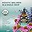 USDA Organic Lymphatic Drainage Supplement - Echinacea | Elderberry | Dandelion | Rosehip | Cleavers | Calendula | Burdock - Made in USA - Lymph System Drops - Immune Support, Cleanse & Detox, 2 fl oz
