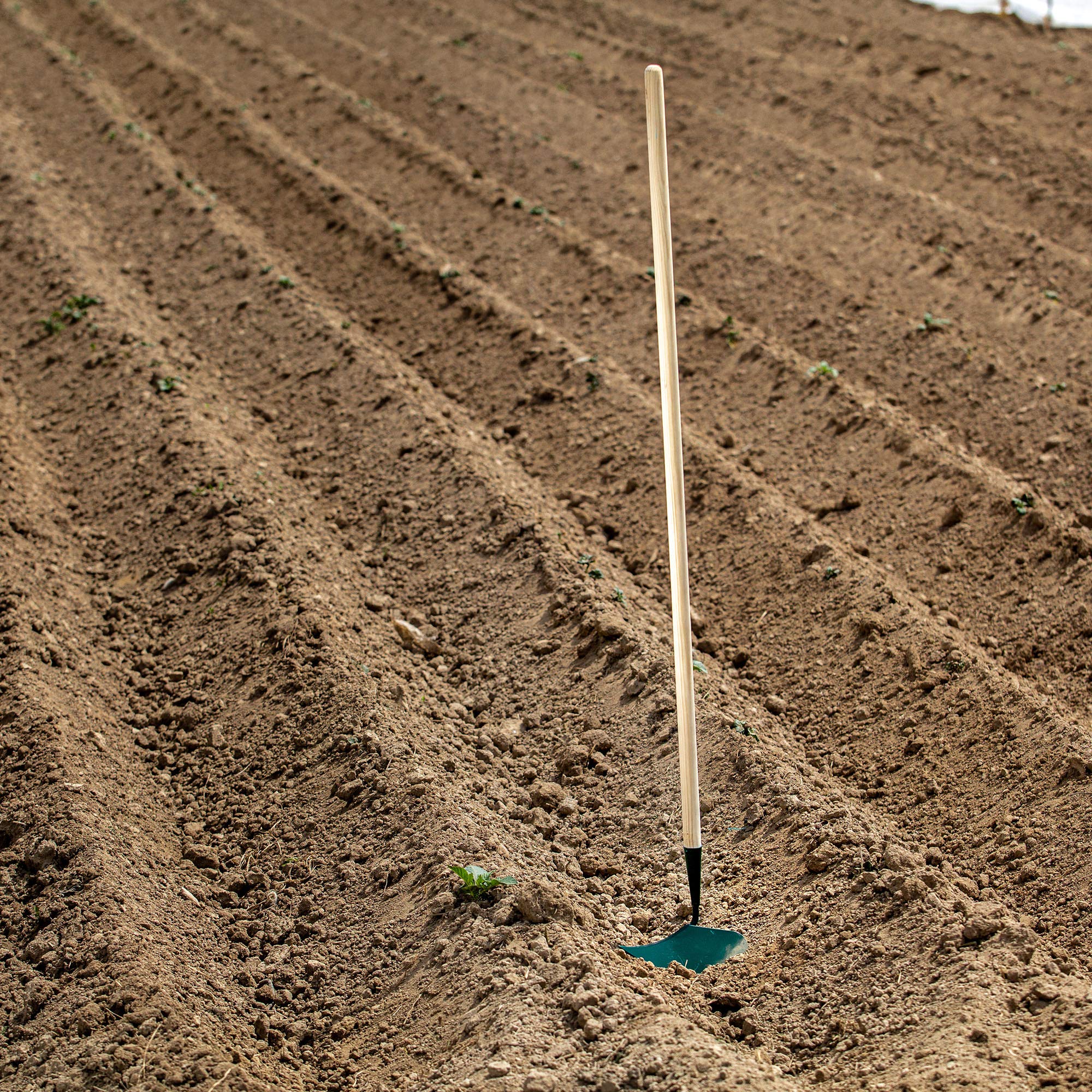 KADAX Botteuse de Pommes de Terre, Cultivateur avec Manche en Bois, Charrue Manuelle, Outil de Jardinage