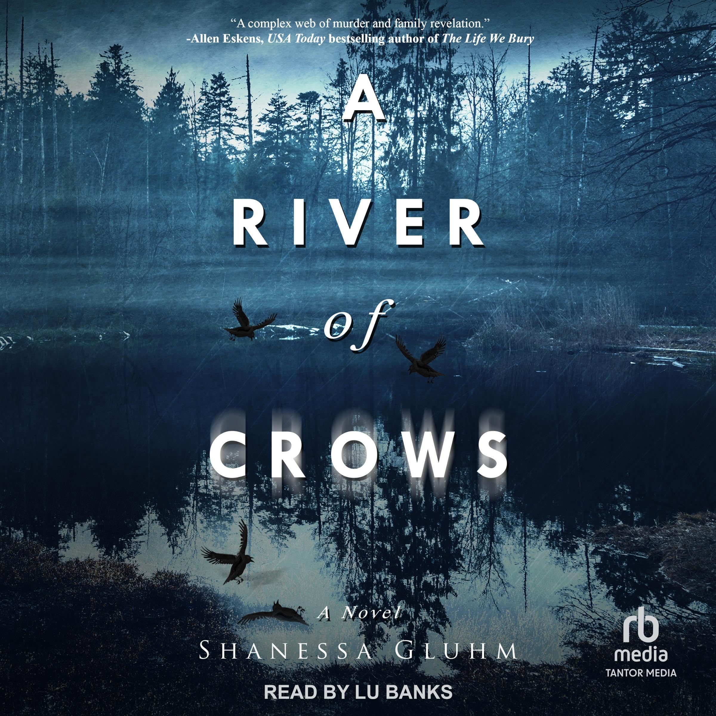 Cover art for A River of Crows