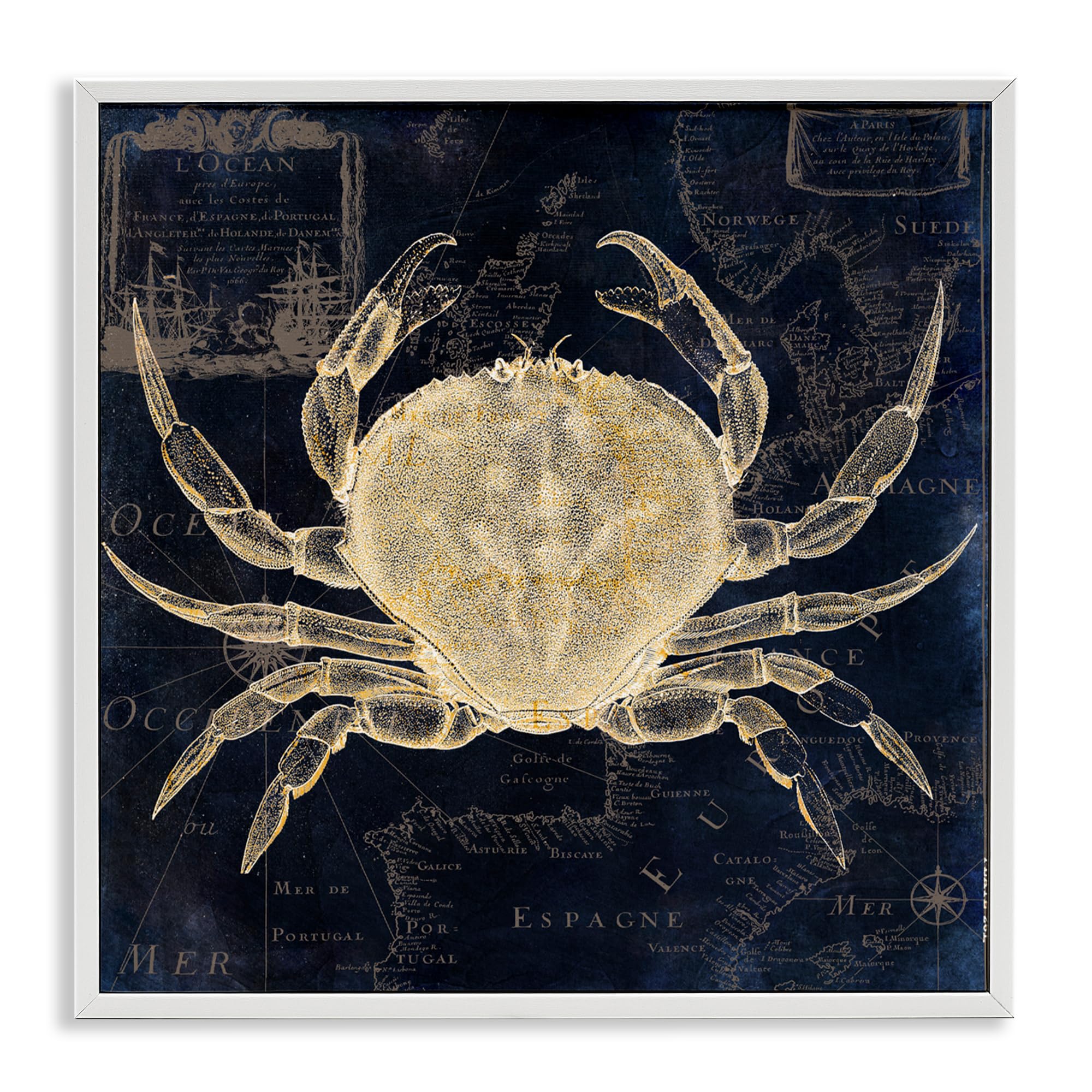 Crab Contour Stupell cadre blanc 30,5 cm pour habiller un mur vide