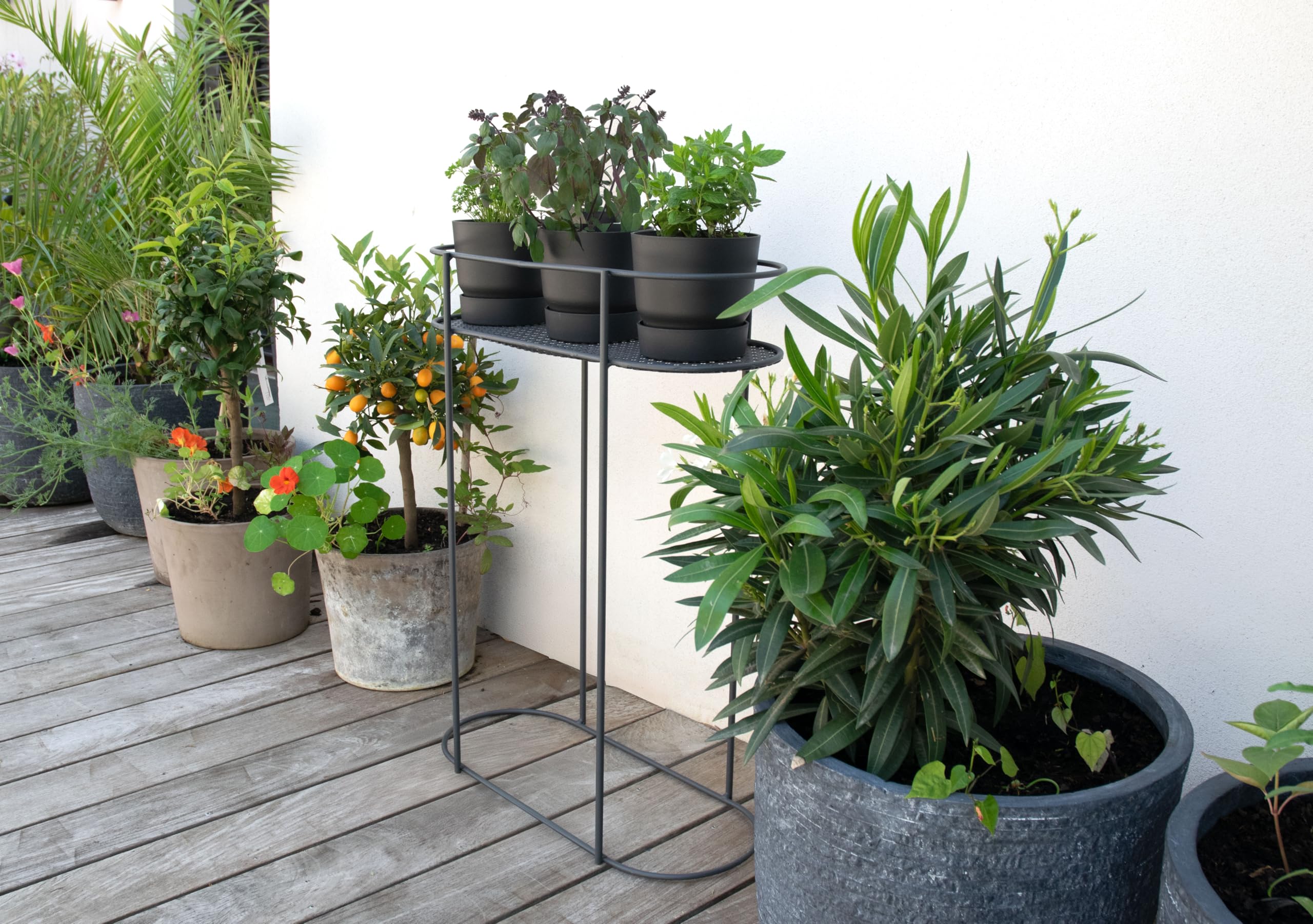 Louis Moulin Support plantes et aromatiques sur Pieds, 80 cm de Hauteur, Anthracite, Fabriqué en France