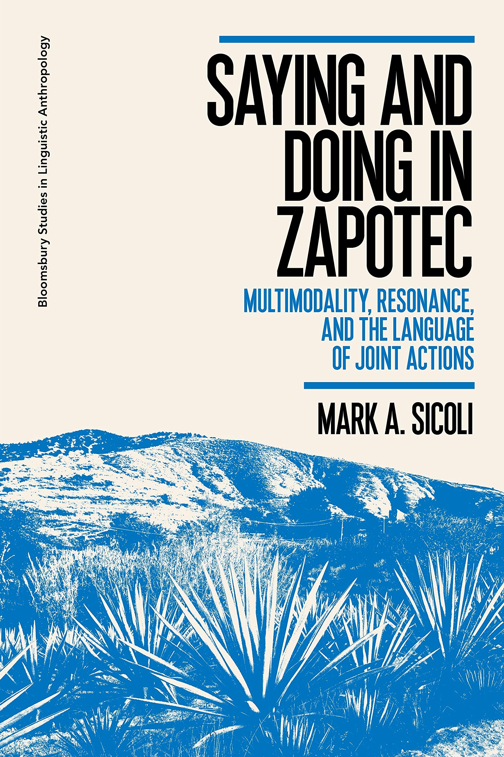 Buy Saying and Doing in Zapotec: Multimodality, Resonance, and the Language of Joint Actions (Bloomsbury Studies in Linguistic Anthropology) — BookShops.in