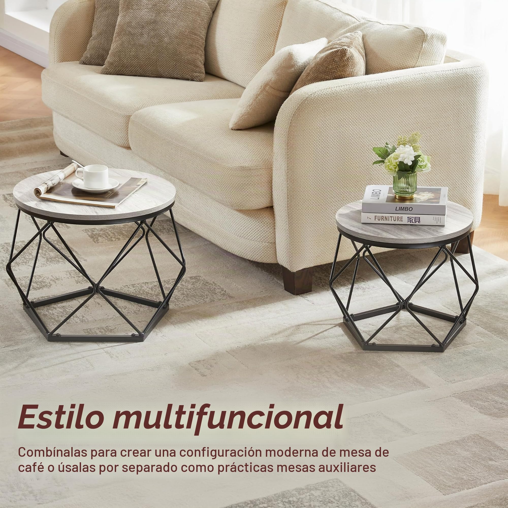 Vida Designs Brooklyn - Juego de 2 mesas auxiliares Redondas, Marco de Acero Moderno, Muebles de Sala de Estar (Gris)