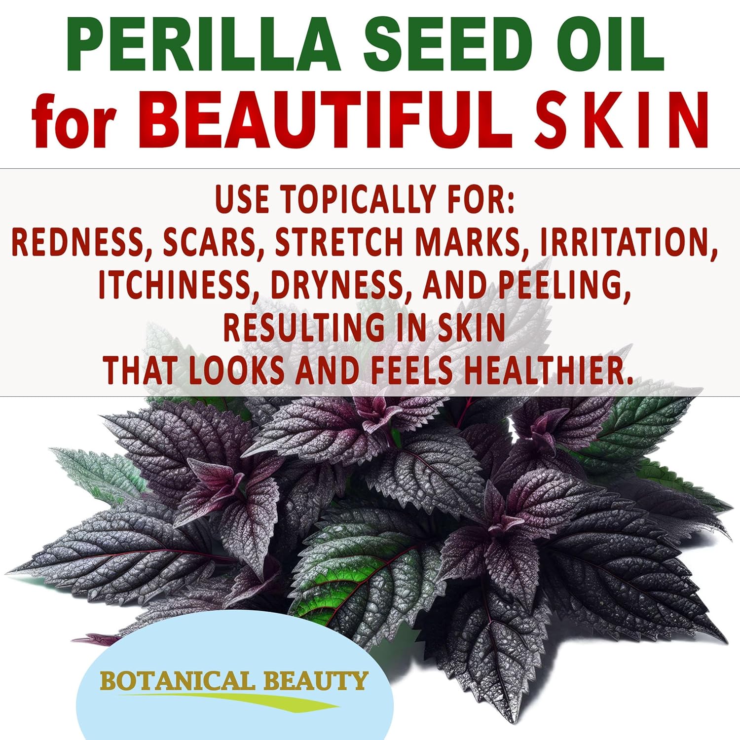 Botanical Beauty PERILLA SEED OIL 100% Pure Natural REFINED Cold-Pressed Carrier Oil for Face, Skin, Body, Hair, Lip, Nails. Rich in Omega 3, Alpha-Linolenic Acid. (4 Fl Oz 120 ml)