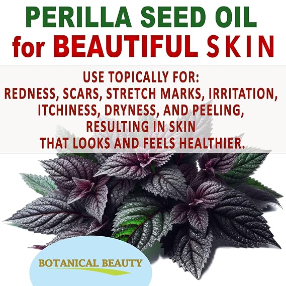 Botanical Beauty PERILLA SEED OIL 100% Pure Natural REFINED Cold-Pressed Carrier Oil for Face, Skin, Body, Hair, Lip, Nails. Rich in Omega 3, Alpha-Linolenic Acid. (1 Fl Oz 30 ml)