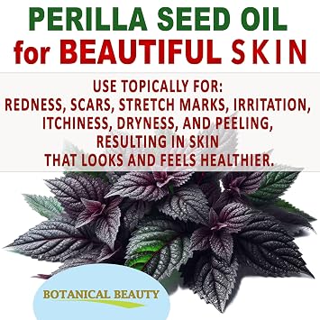 Botanical Beauty PERILLA SEED OIL 100% Pure Natural REFINED Cold-Pressed Carrier Oil for Face, Skin, Body, Hair, Lip, Nails. Rich in Omega 3, Alpha-Linolenic Acid. (1 Fl Oz 30 ml)