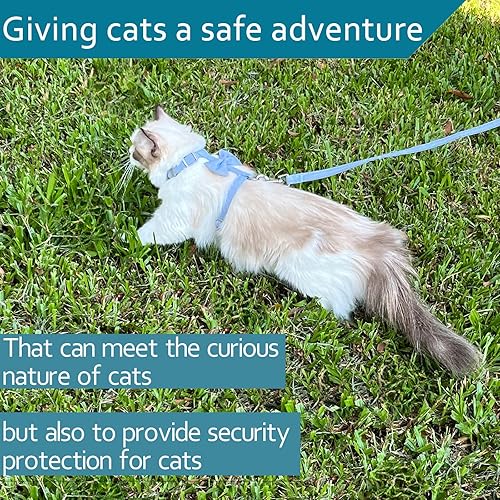 Miniatura 5 de Juego de arnés y correa para gatos para caminar al aire libre, arnés para gatos a prueba de escape, Ddzmz a prueba de escape, malla suave,