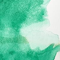 Vista 281 de Winsor & Newton - Pintura para acuarela profesional