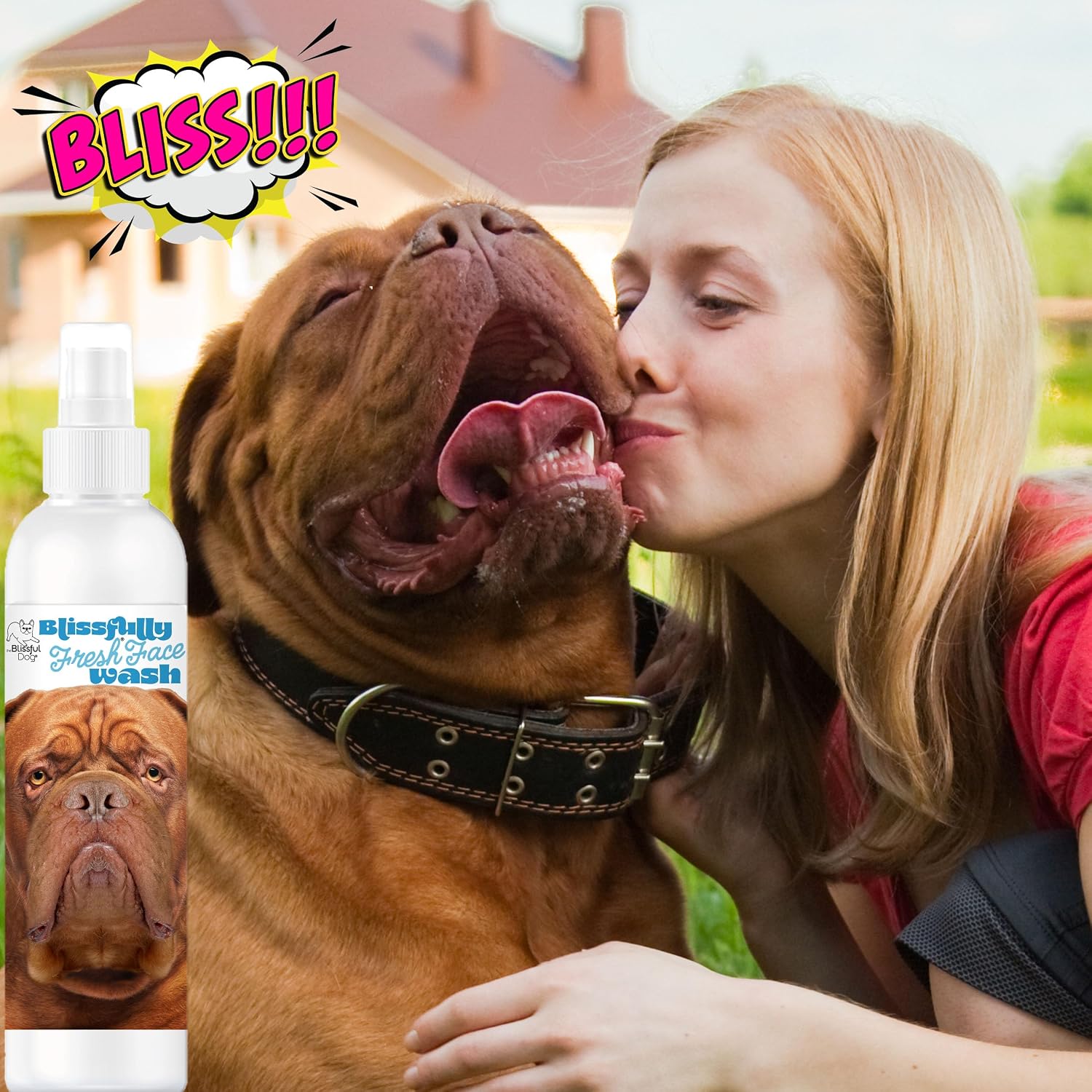 The Blissful Dog Blissfully Fresh Face Wash - Cleans Facial Folds and Wrinkles, 16-Ounce, Douge de Bourdeaux image 5