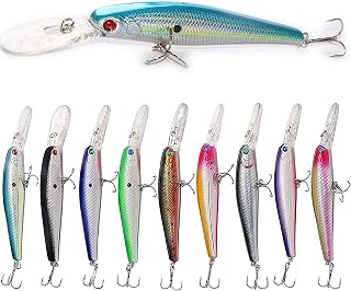 Minnow Fishing Lures 5.6in Hard Lures Bait 10Pcs Bass CrankBait Set Life-Like Swimbait Deep Diving Sinking Lures with Treble Hook for Bass Trout Walleye Redfish