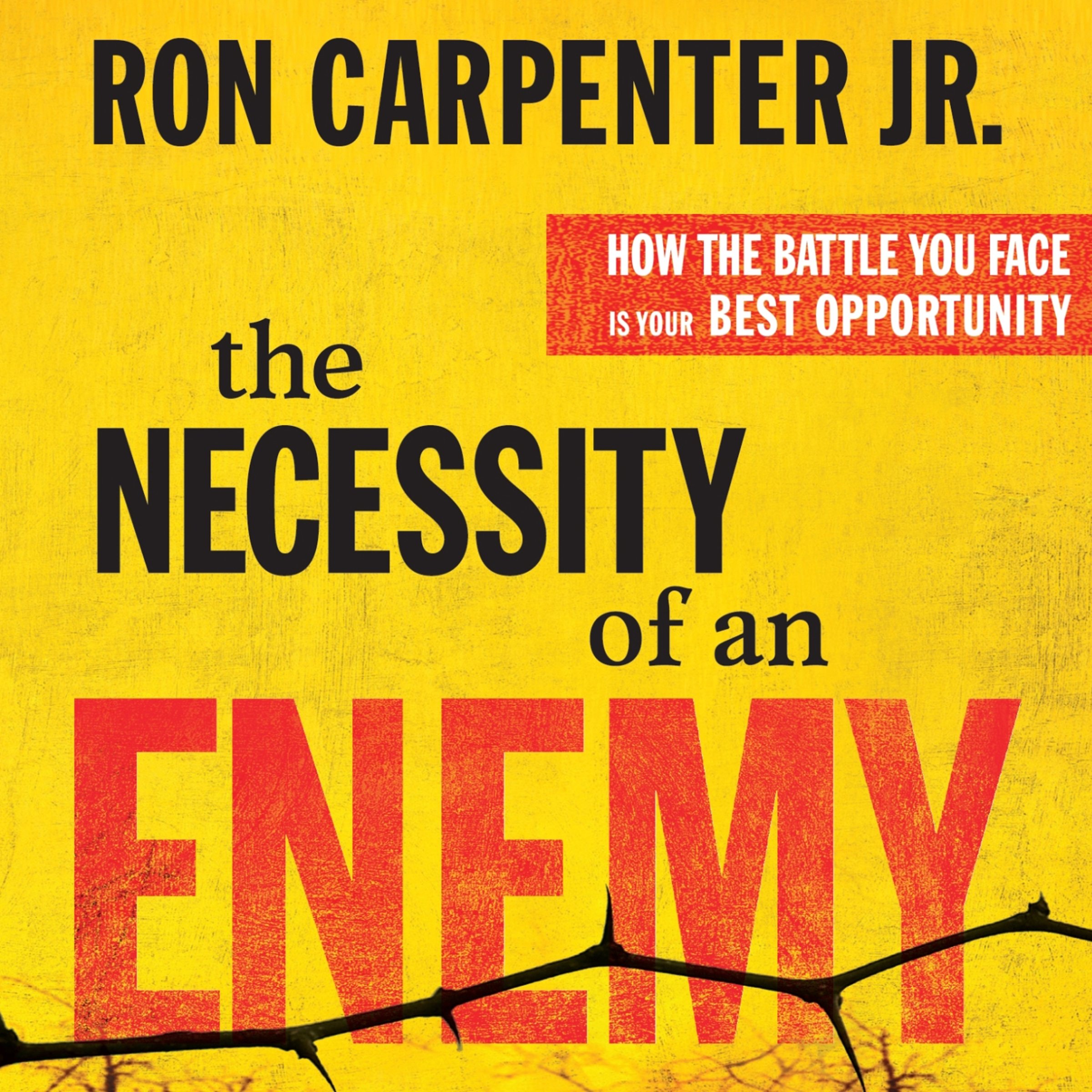 Cover art for The Necessity of an Enemy