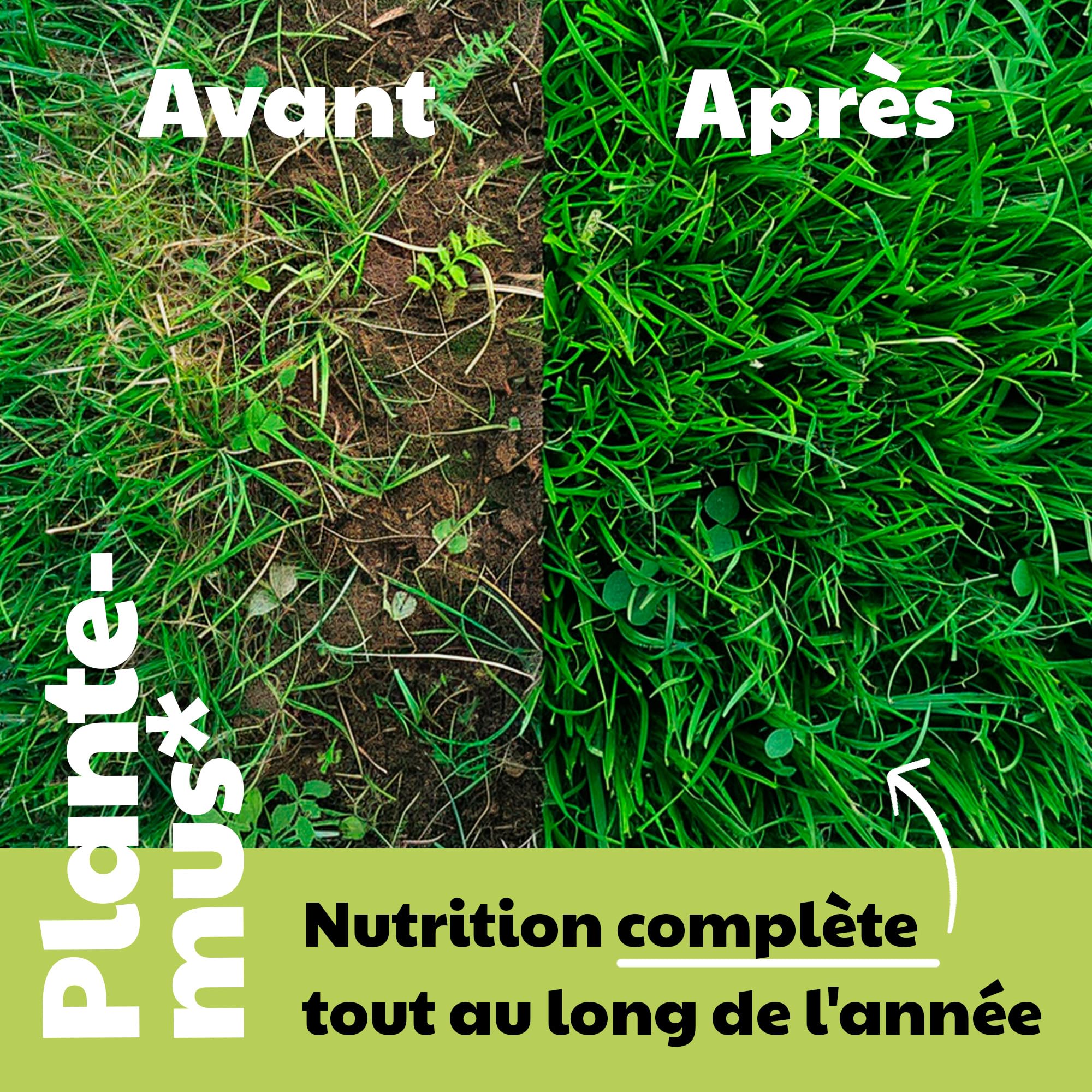 PLANTEMUS Engrais pour Gazon Premium NPK 12-11-18 700 m² 20 kg