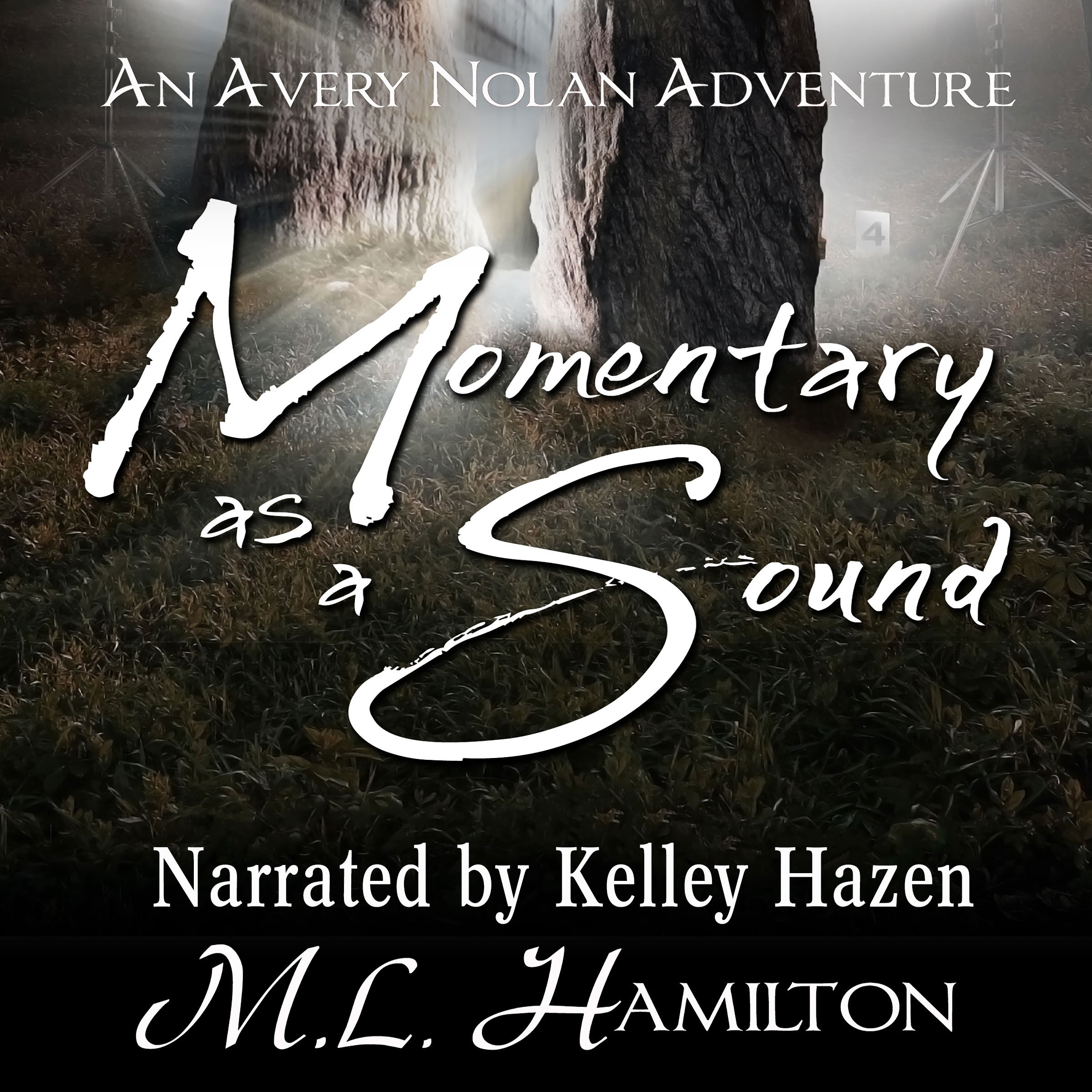 Cover art for Momentary as a Sound