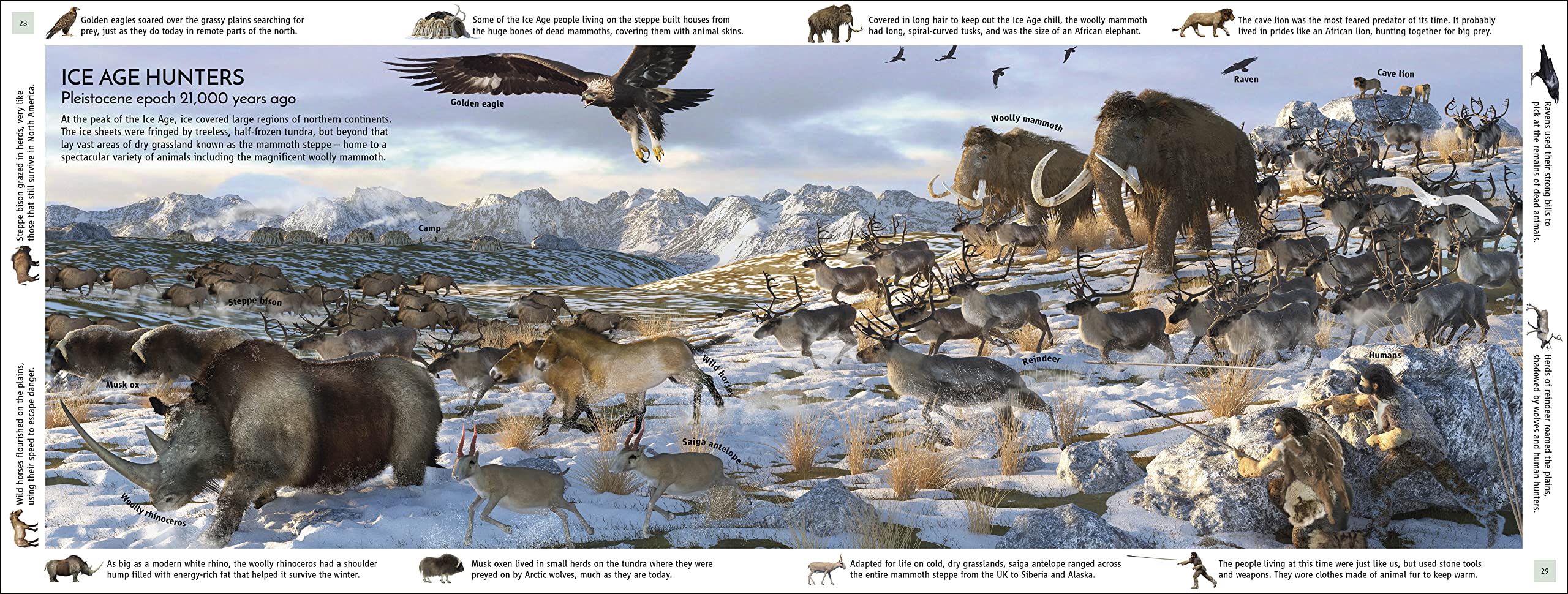 Life Through Time: The 700-Million-Year Story of Life on Earth
