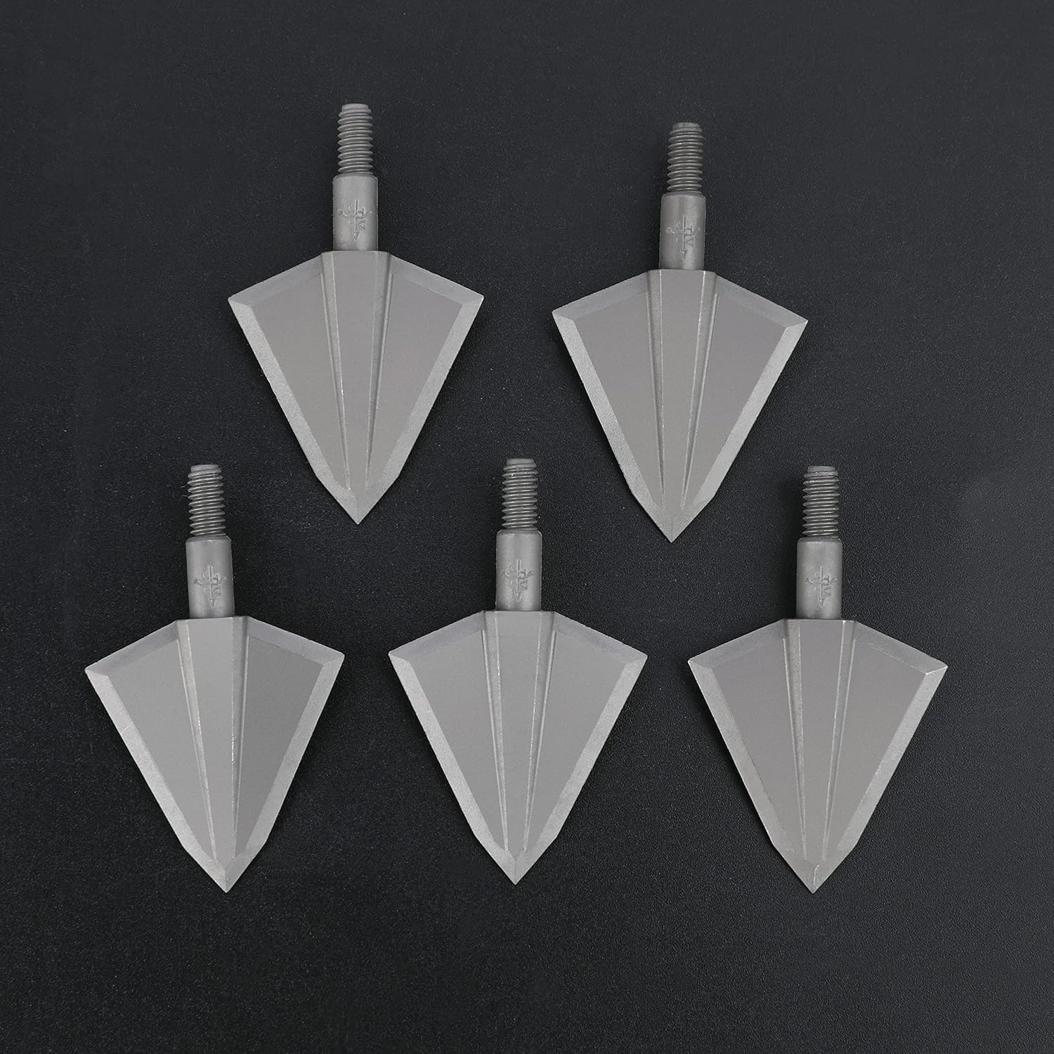 AMEYXGS 6pcs Archery Hunting Arrowheads 2 Blade Broadhead Screw-in Arrow Tips for Compound Bow and Recurve Bow