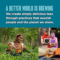 Vista 5 de Teatulia Bolsas de té orgánico Masala Chai (50 bolsas de té piramidales envueltas) Té negro Chai de flores enteras prémium 100% compostable