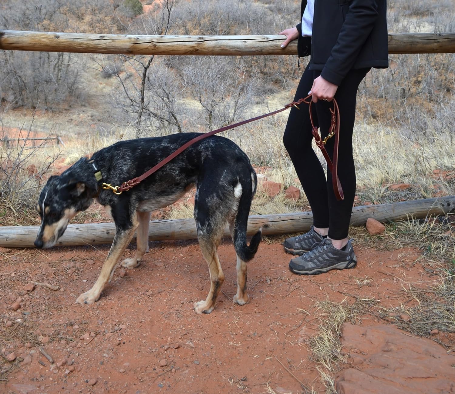 Ray Allen Convertible Service Dog Leash, Latigo Leather, Hands-Free Dog Leash (6.5')