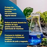Ver la foto 5