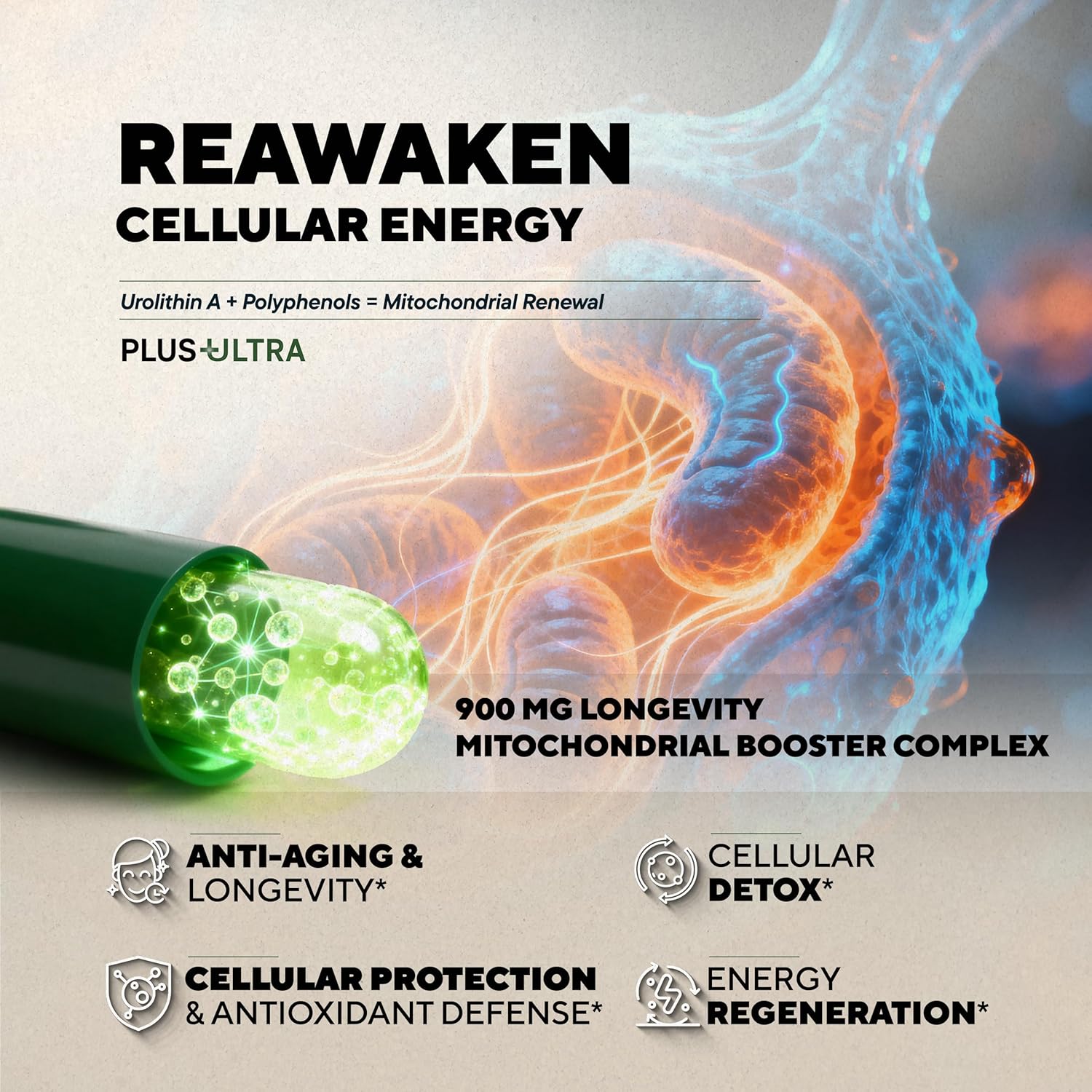 Plus+Ultra 10-in-1 UROLITHIN A 1250mg Liposomal Longevity Complex | w. NAD+, Nicotinamide Riboside & Resveratrol – Mitochondrial Support Promotes Cellular Energy, Anti-Aging & Muscle Recovery - Image 2