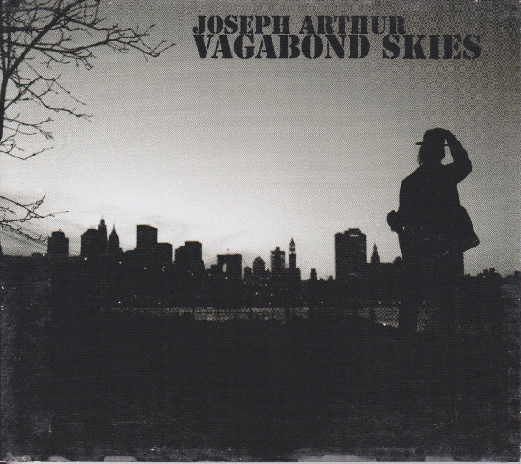 ARTHUR;JOSEPH - VAGABOND SKIES [Audio CD] ARTHUR;JOSEPH
