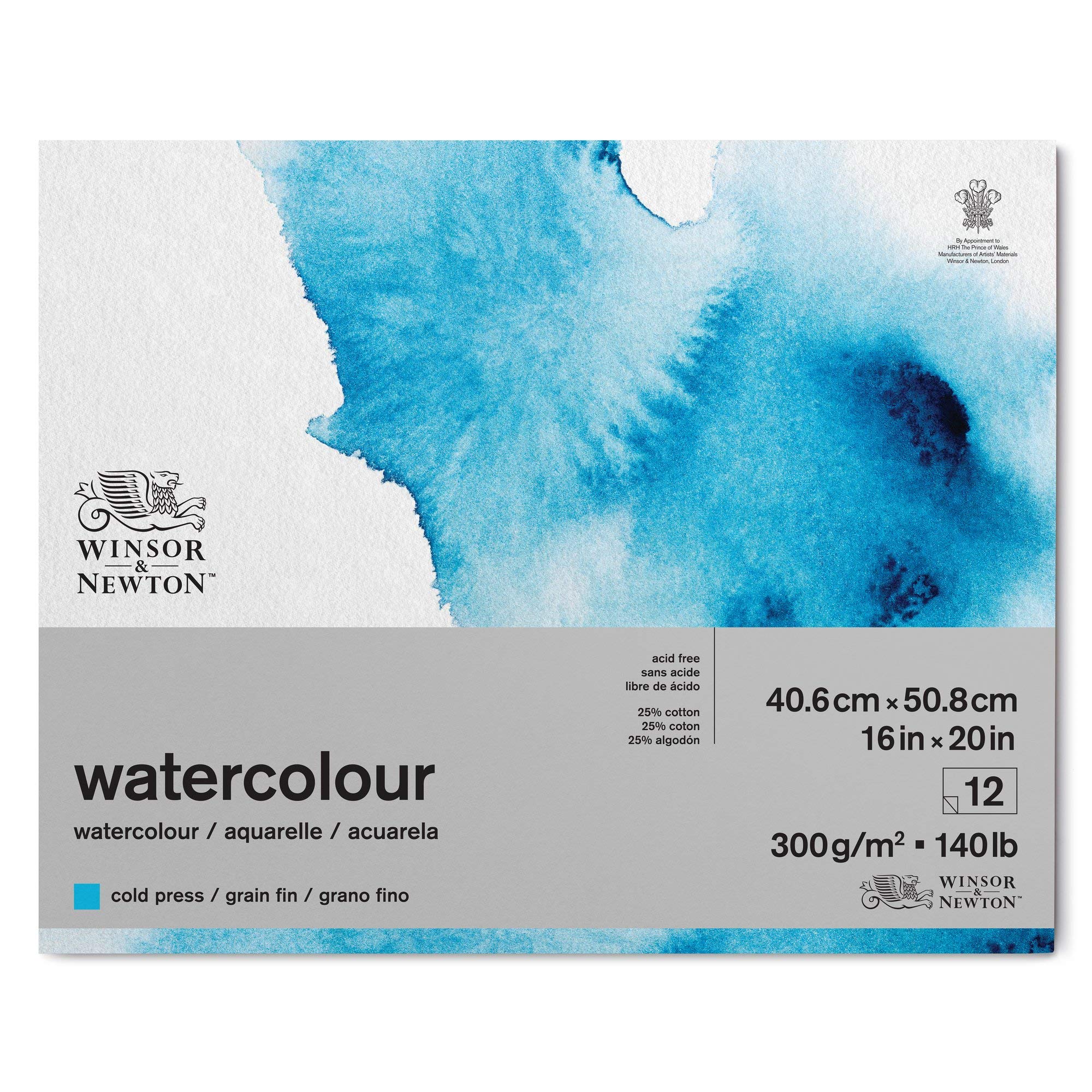 Winsor & Newton 6667005 Classic Aquarellpapier im Block - 12 Blatt 40,6 x 50,8cm , 300g/m²,geleimt, kaltgepresstes, leicht texturiertes weißes Papier in archivierbarer Qualität, gilbbeständig
