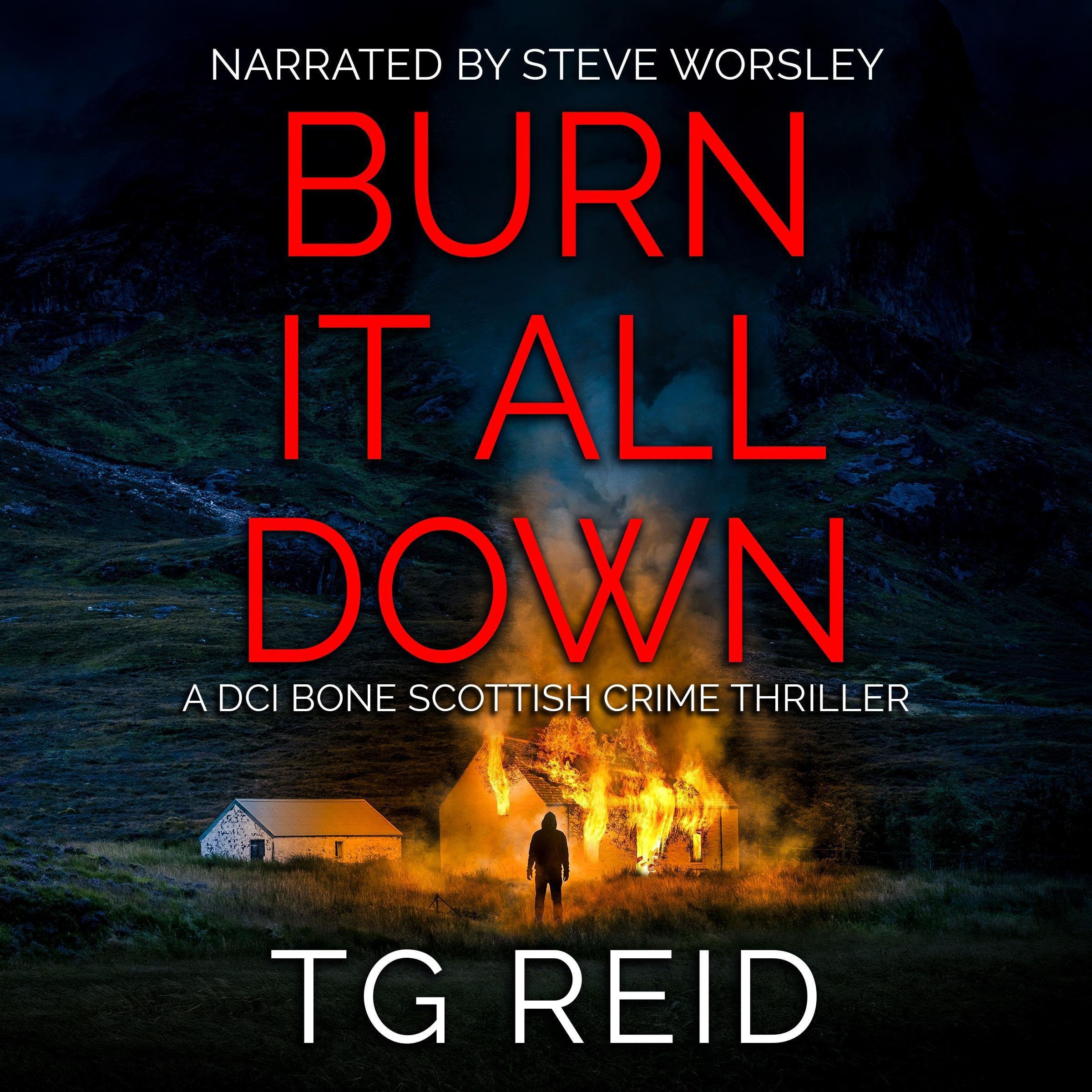 Cover art for Burn It All Down