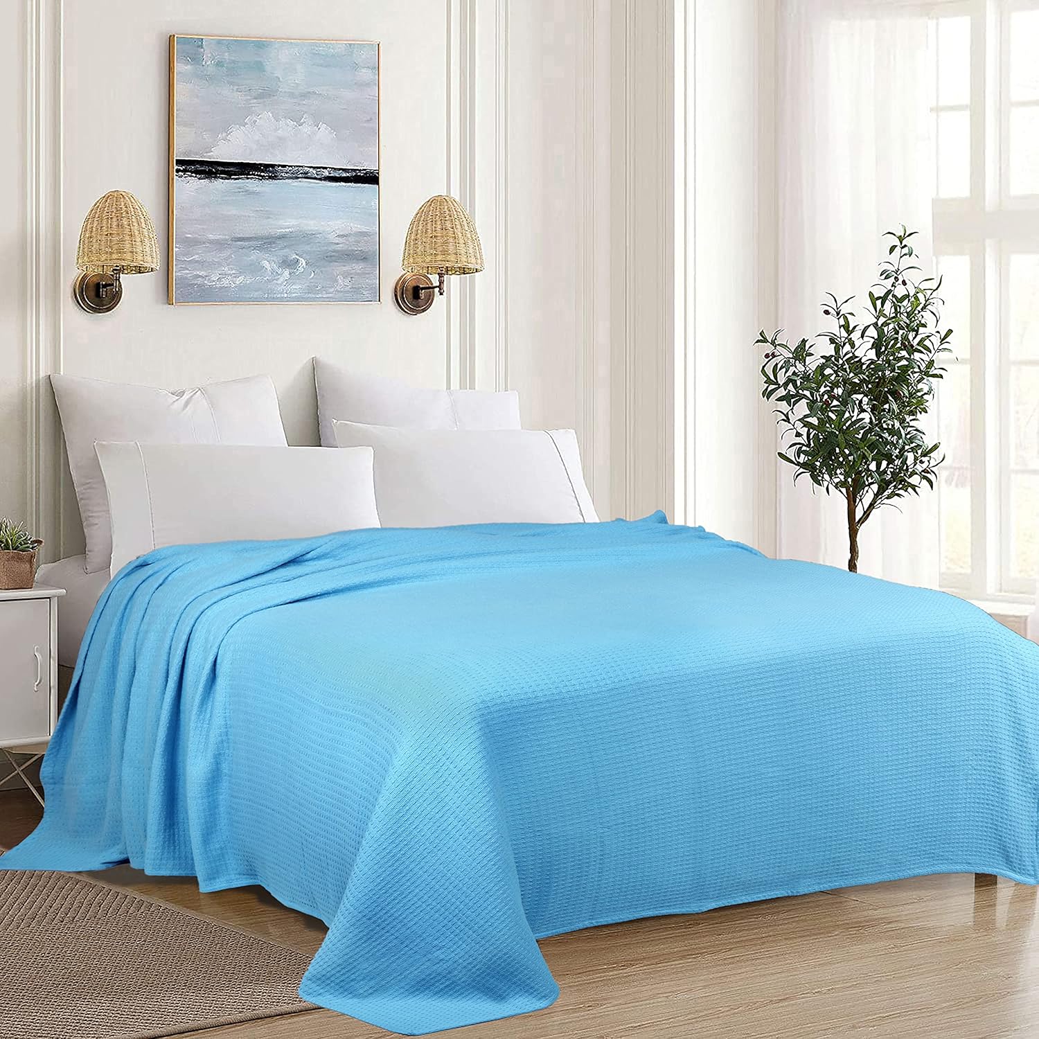 Tex Trend Blankets Classic Weave Twin Size (60X90 Inch),Blue Color -100% Cotton Soft Premium Light Weight Breathable Cotton Thermal Blankets for Bed Couch - Provides Comfort and Warmth : Home & Kitchen